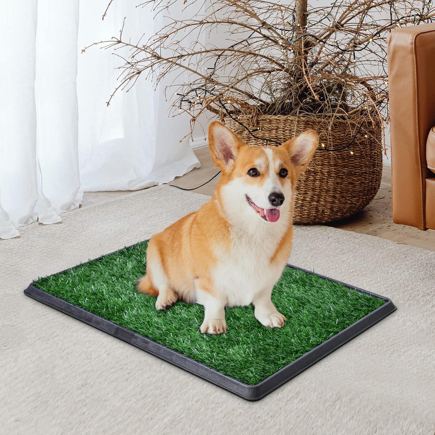 Baño para Perros con Césped Artificial | Ideal para Interiores y Entrenamiento