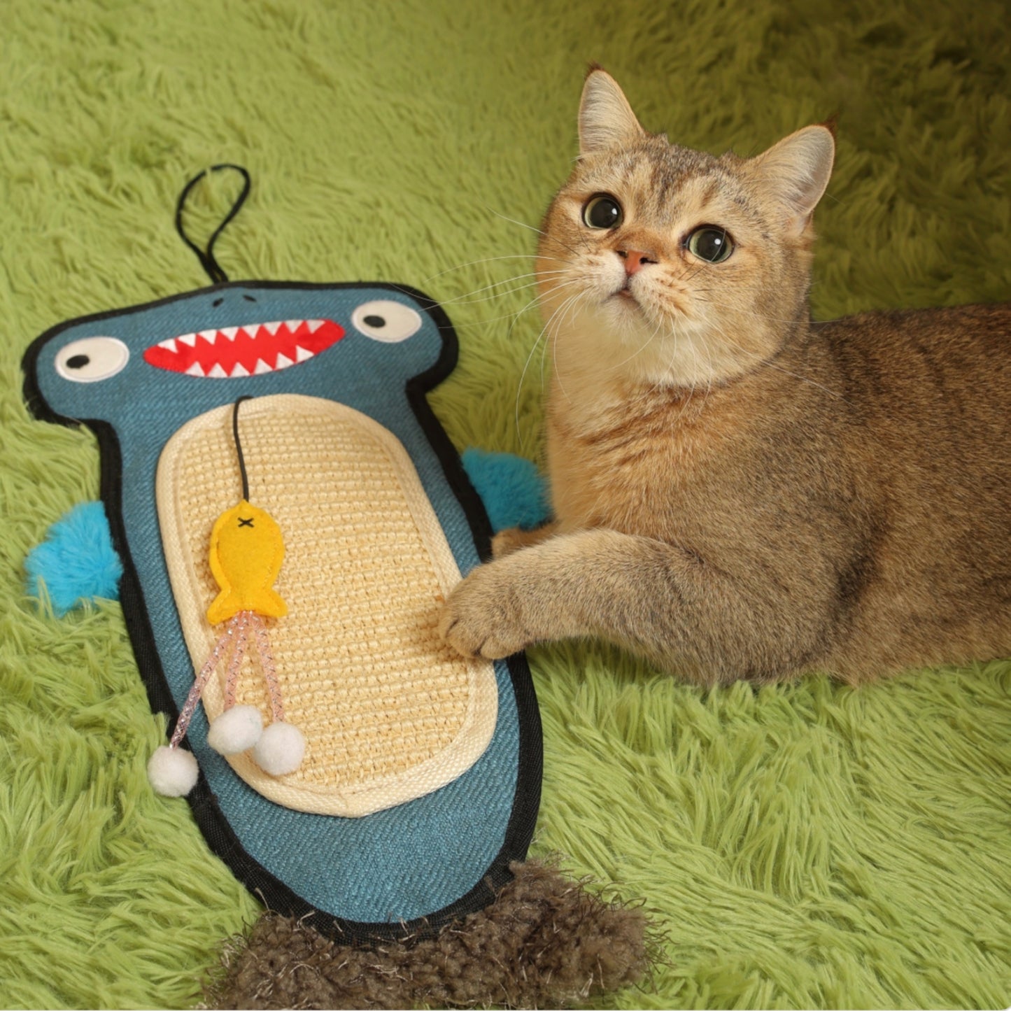 GiGwi Shark Scratcher con Catnip para Gatos | Rascador Colgante Interactivo 2 en 1 - Cosmos