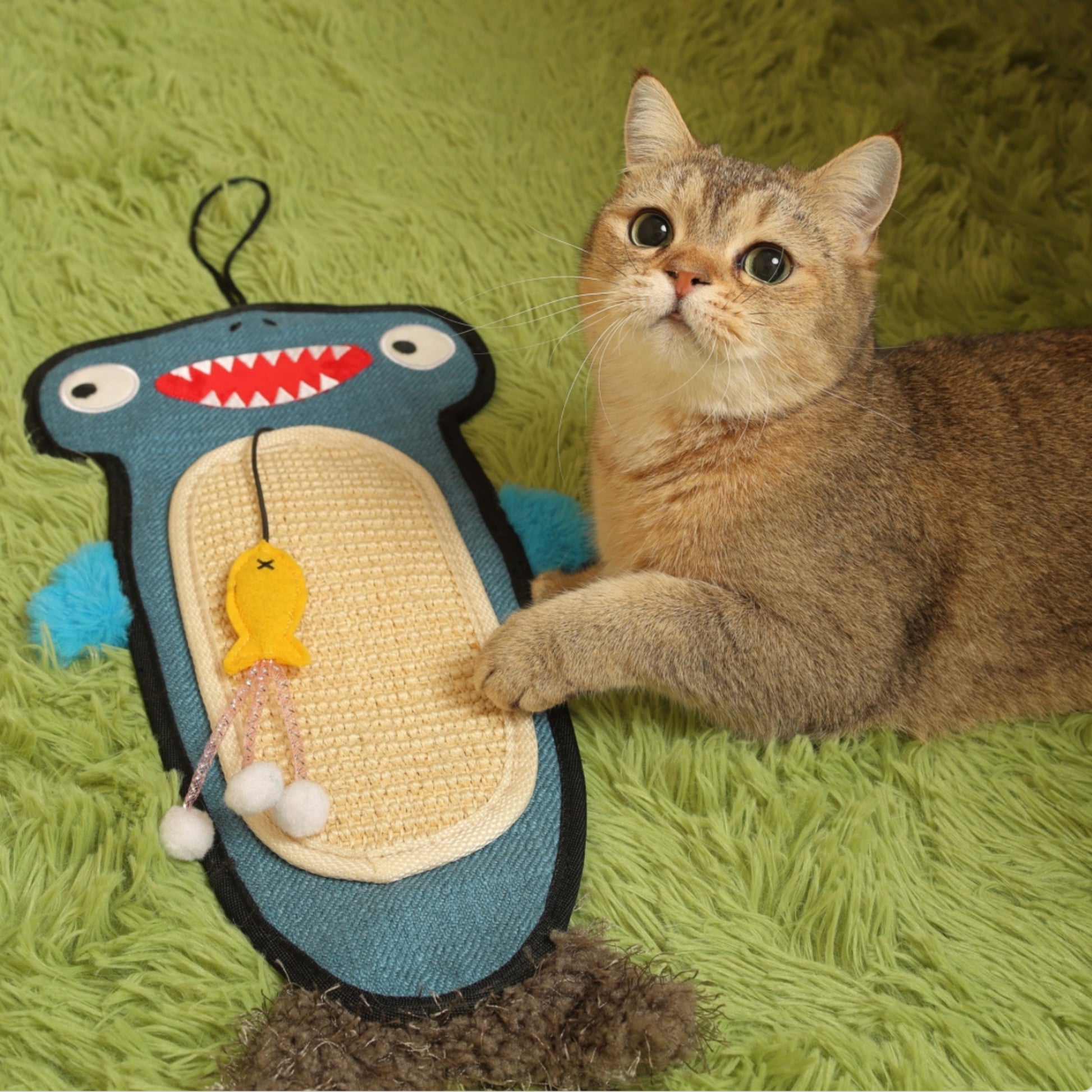 GiGwi Shark Scratcher con Catnip para Gatos | Rascador Colgante Interactivo 2 en 1 - Cosmos