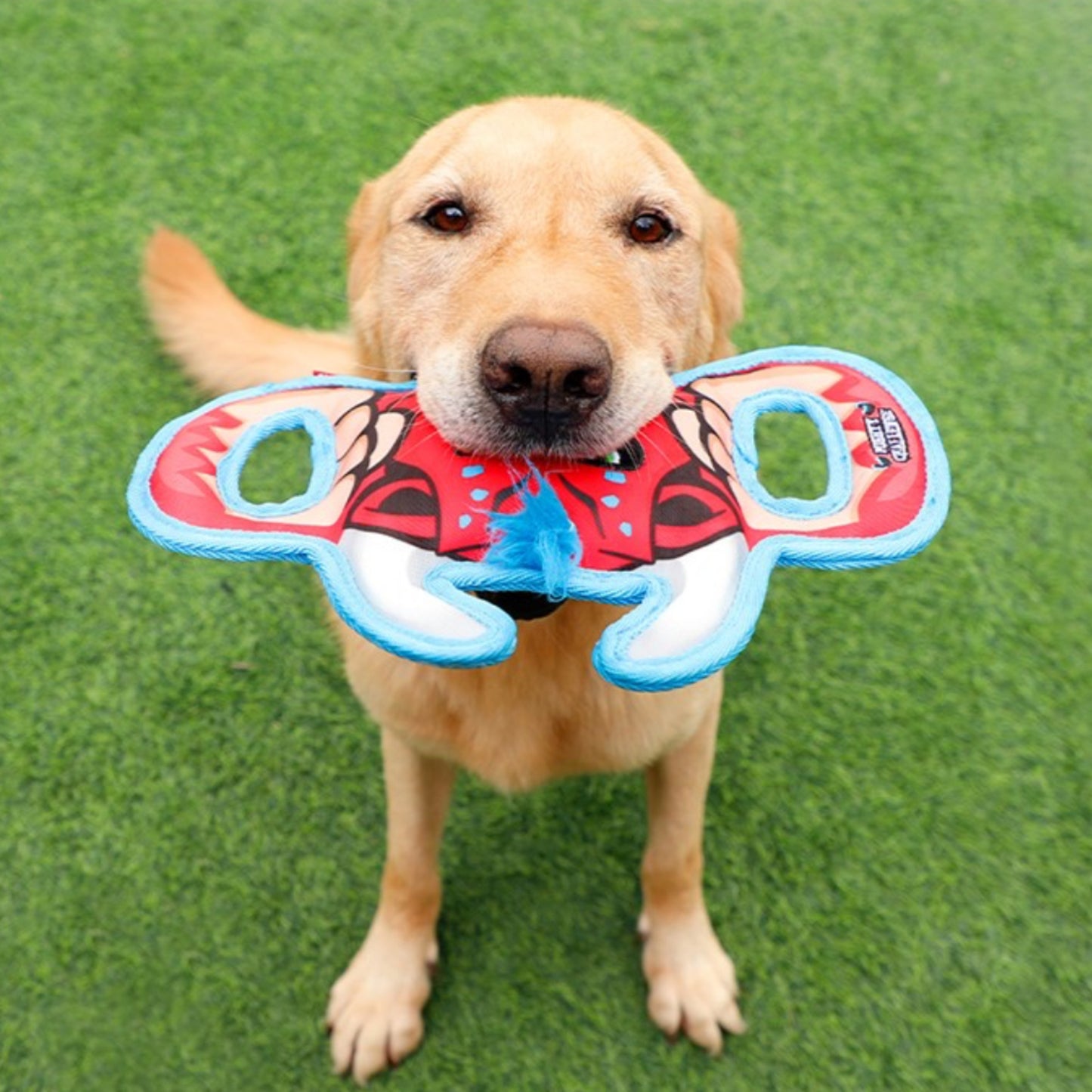 GiGwi Mighty Challenge | Juguete Ultra Resistente para Perros Mordedores - Cosmos