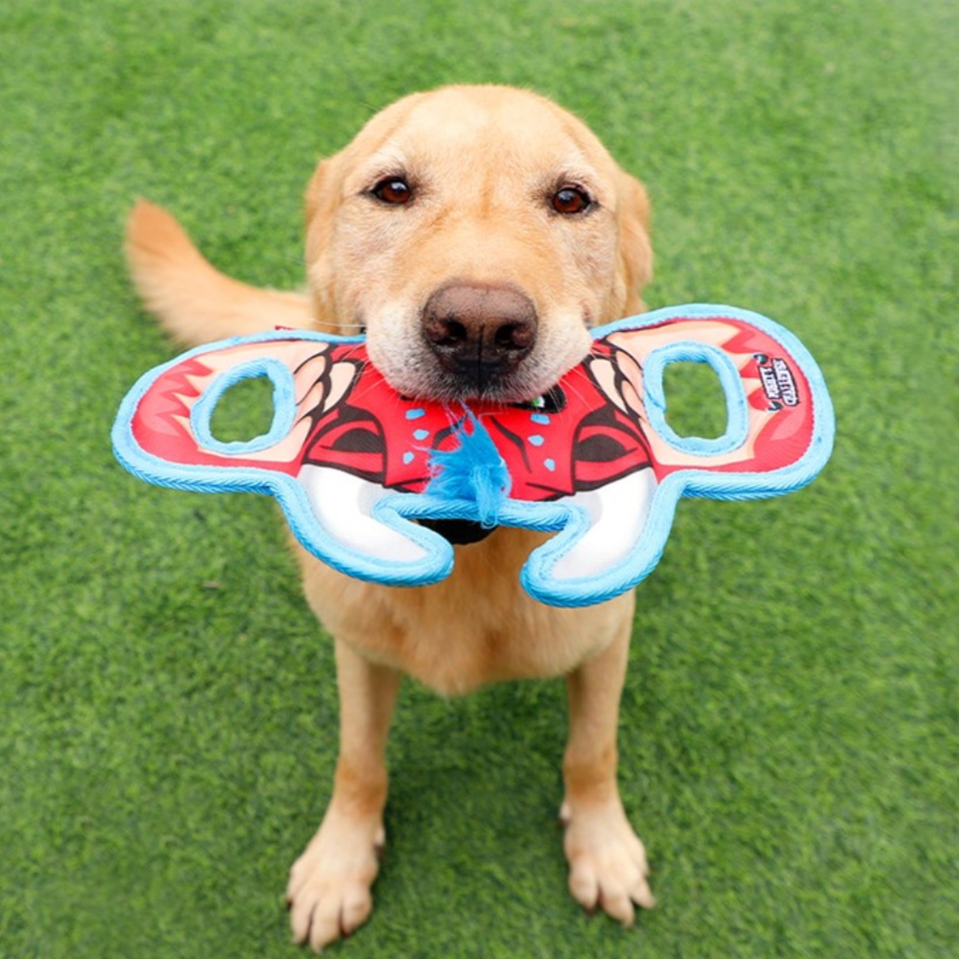 GiGwi Mighty Challenge | Juguete Ultra Resistente para Perros Mordedores - Cosmos