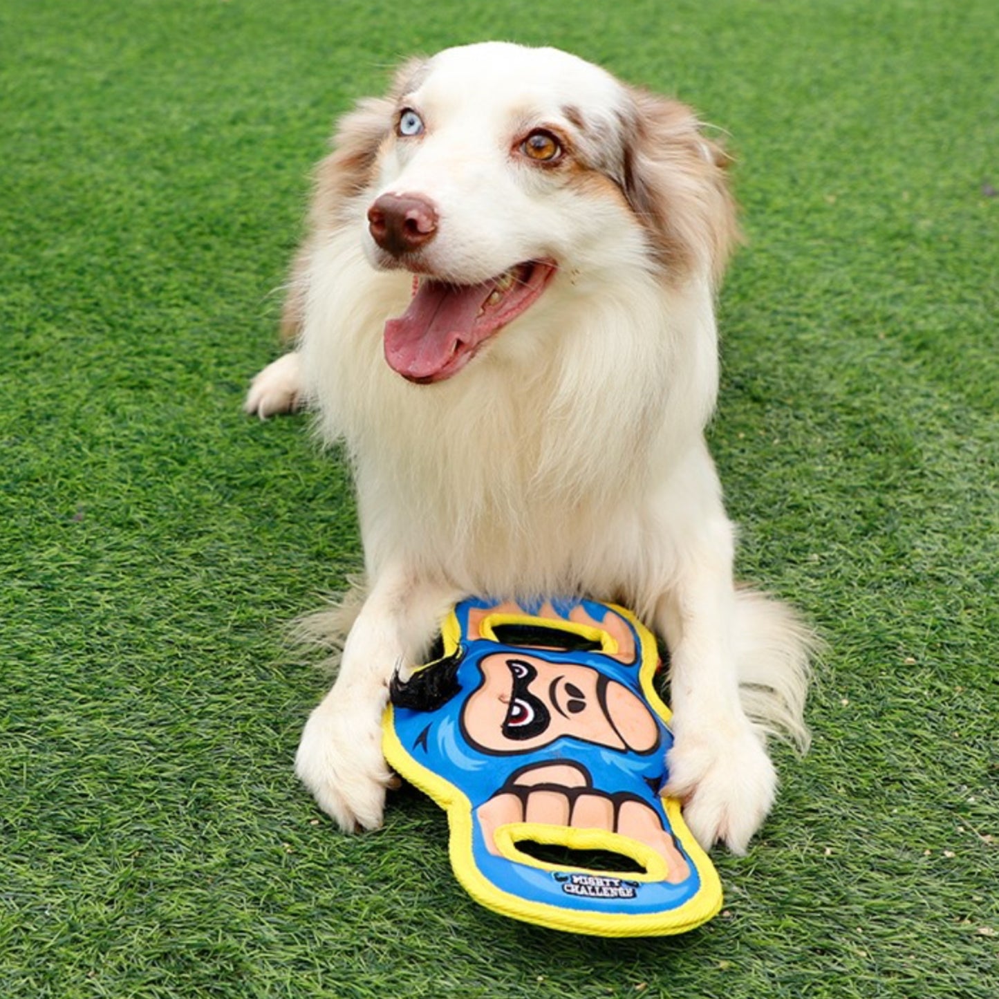 GiGwi Mighty Challenge | Juguete Ultra Resistente para Perros Mordedores - Cosmos