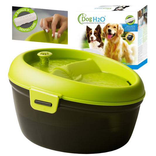 Dog H2O – Fuente de Agua Automática para Perros Grandes | 6 Litros