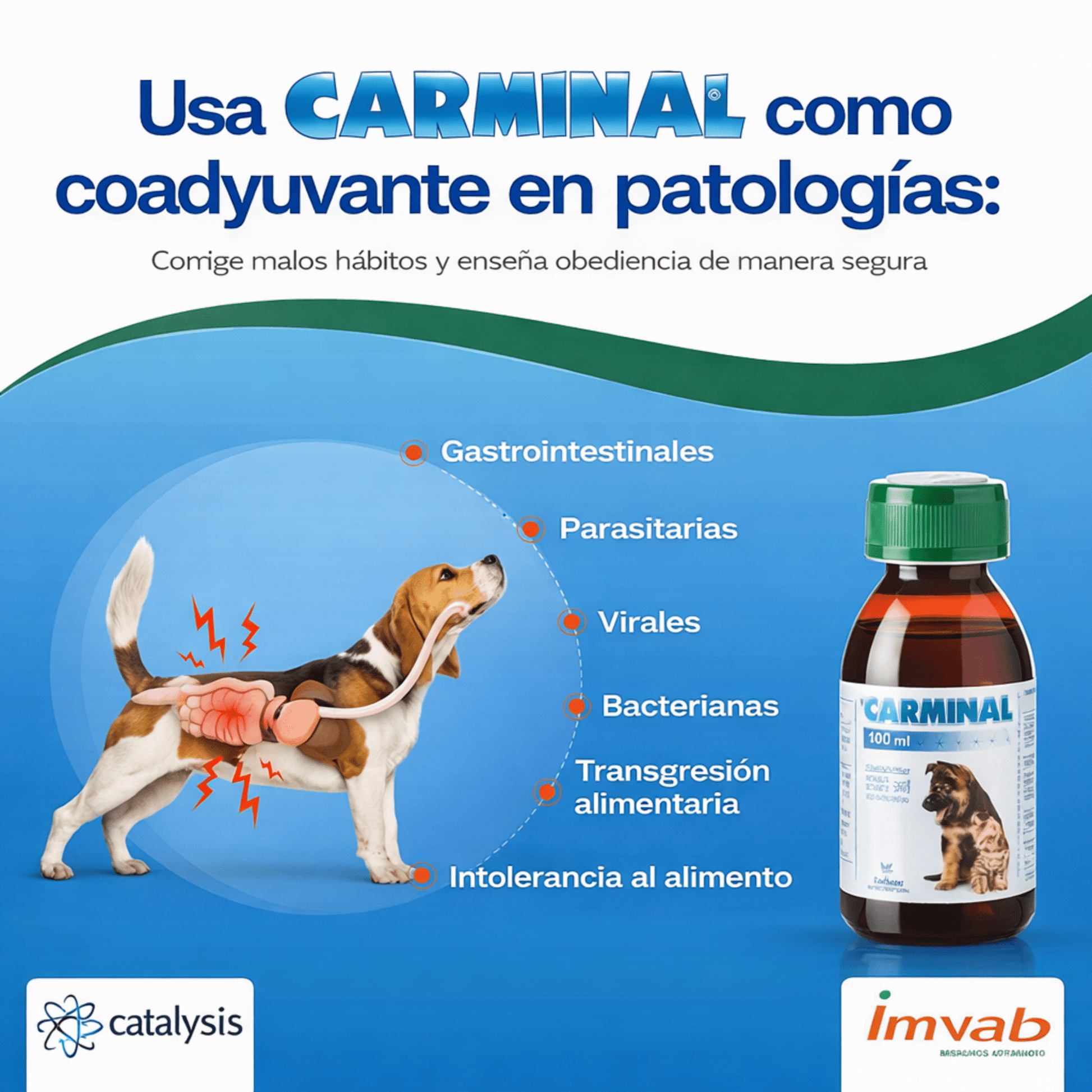 Carminal Pets - Protector Gástrico para Perros y Gatos - Cosmos