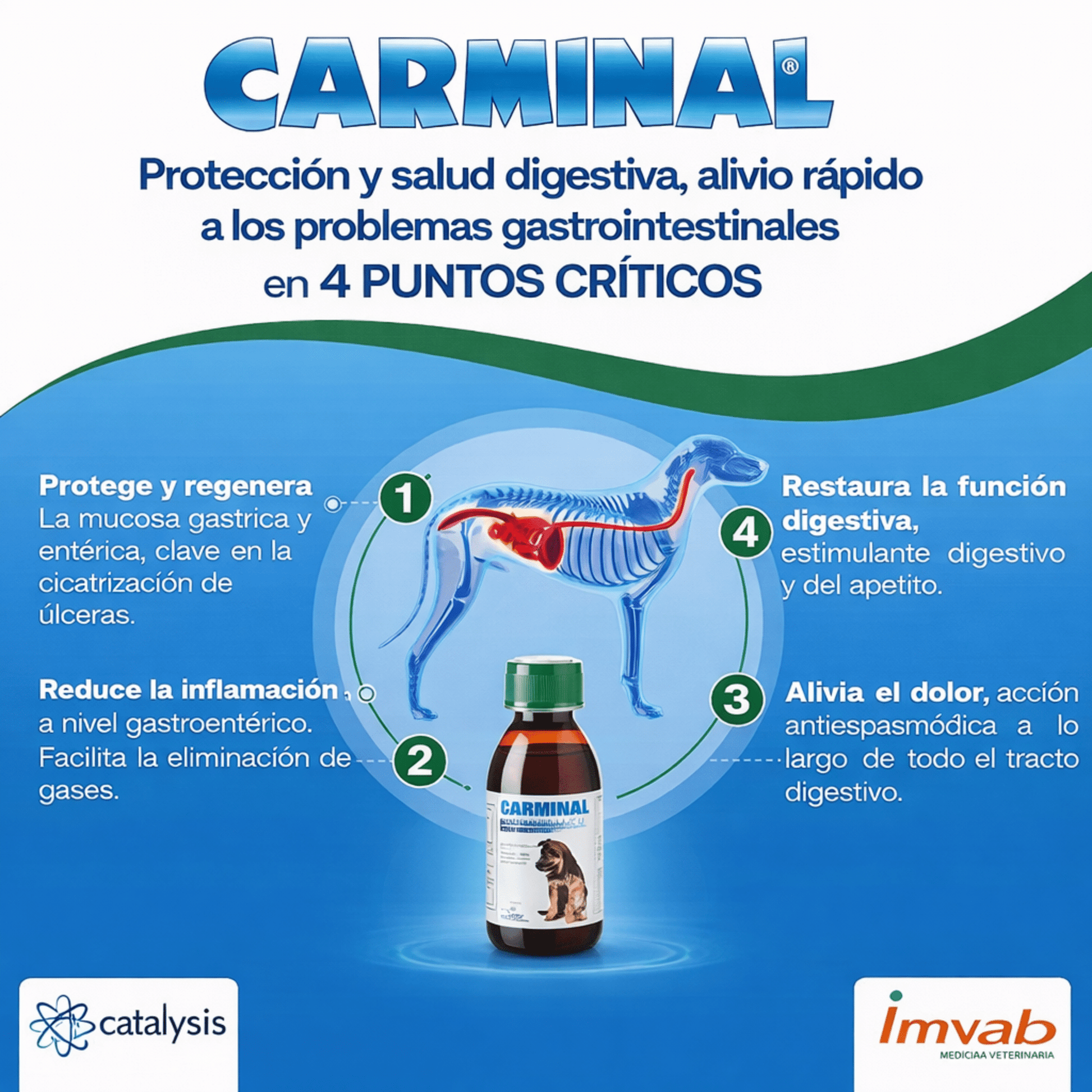 Carminal Pets - Protector Gástrico para Perros y Gatos - Cosmos