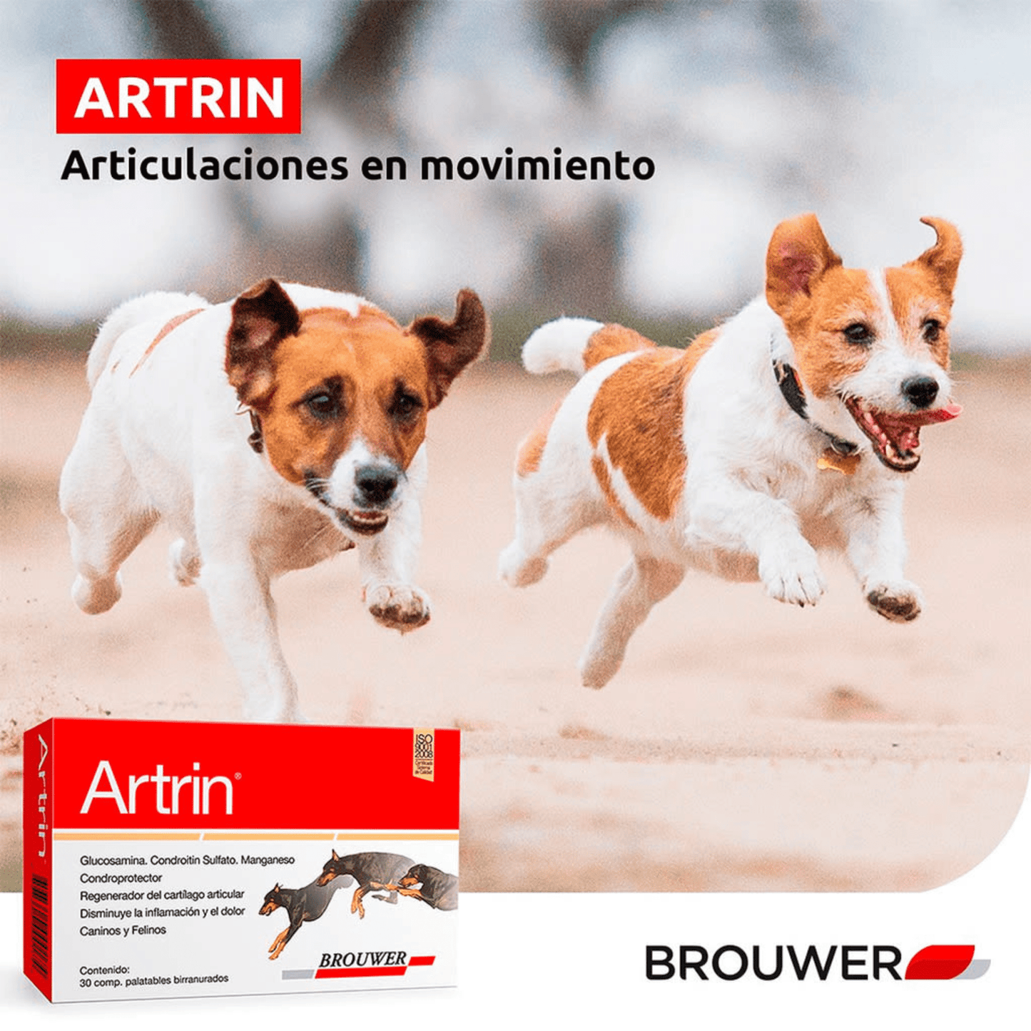 Artrin 30 Tabletas - Condroprotector para Perros y Gatos - Cosmos