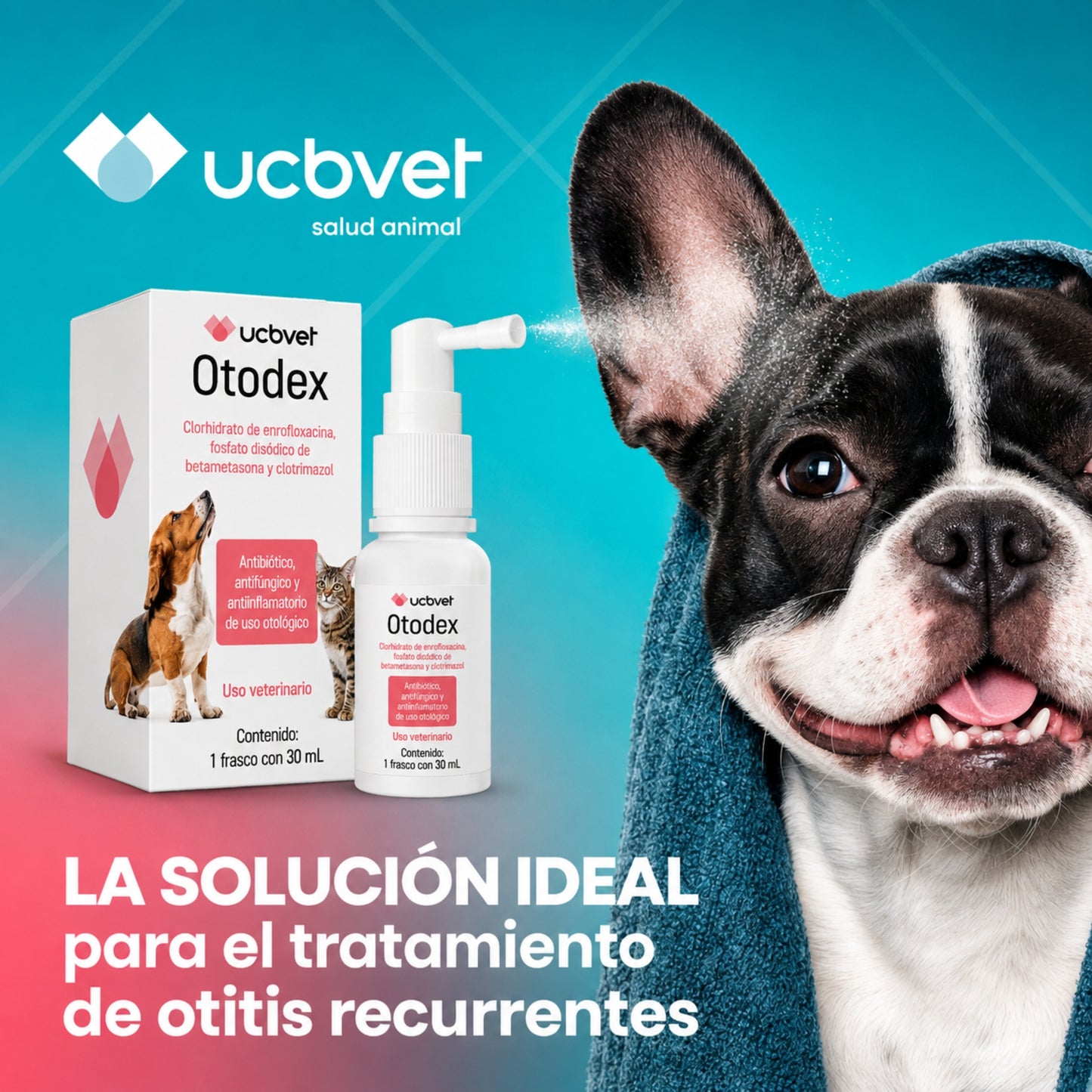 Otodex para Perros y Gatos -  Solución Ótica Para Otitis Recurrente