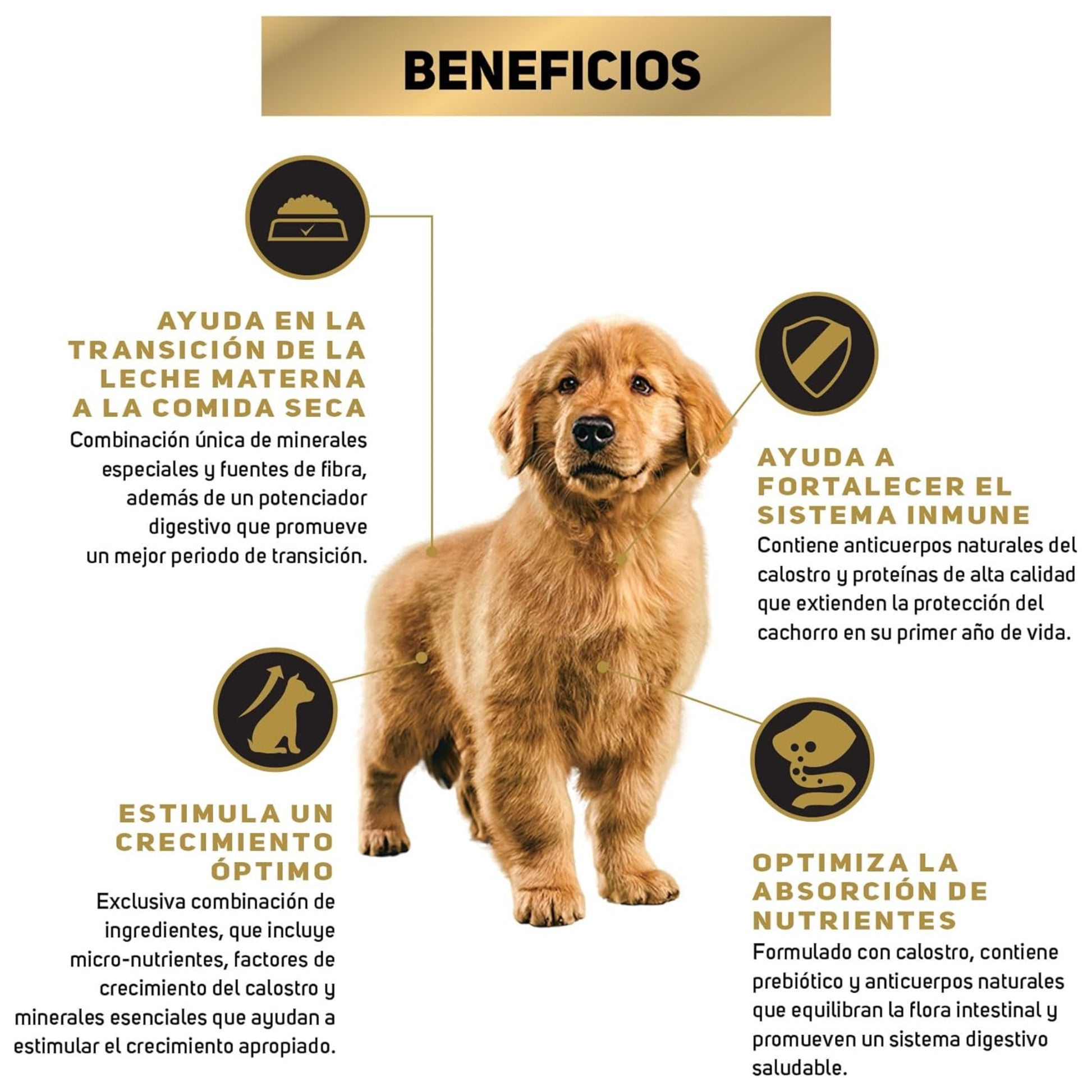 Pro Plan Puppy Razas Medianas - Cosmos