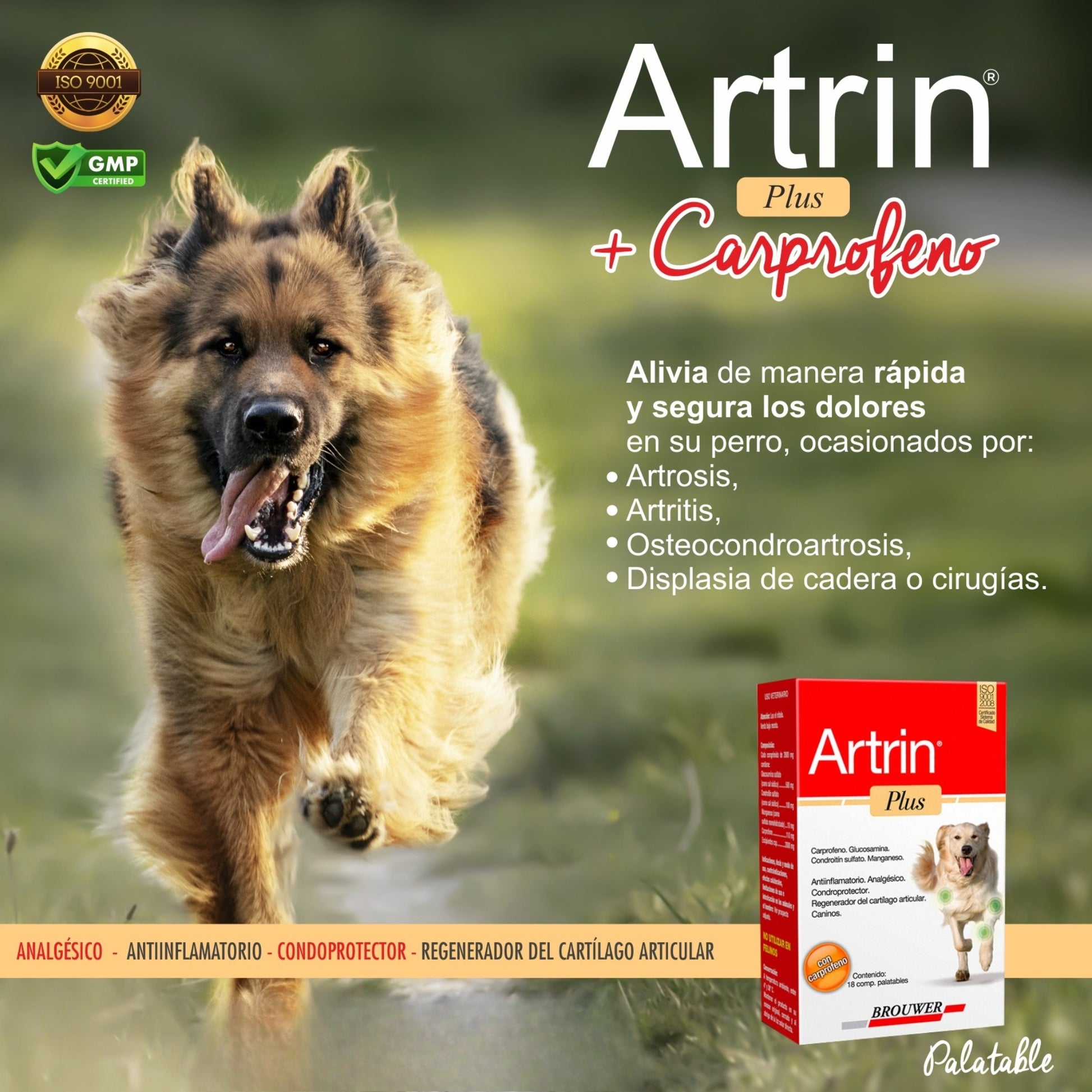 Artrin Plus 18 tabs - Condroprotector y Antiinflamatorio para Perros - Cosmos
