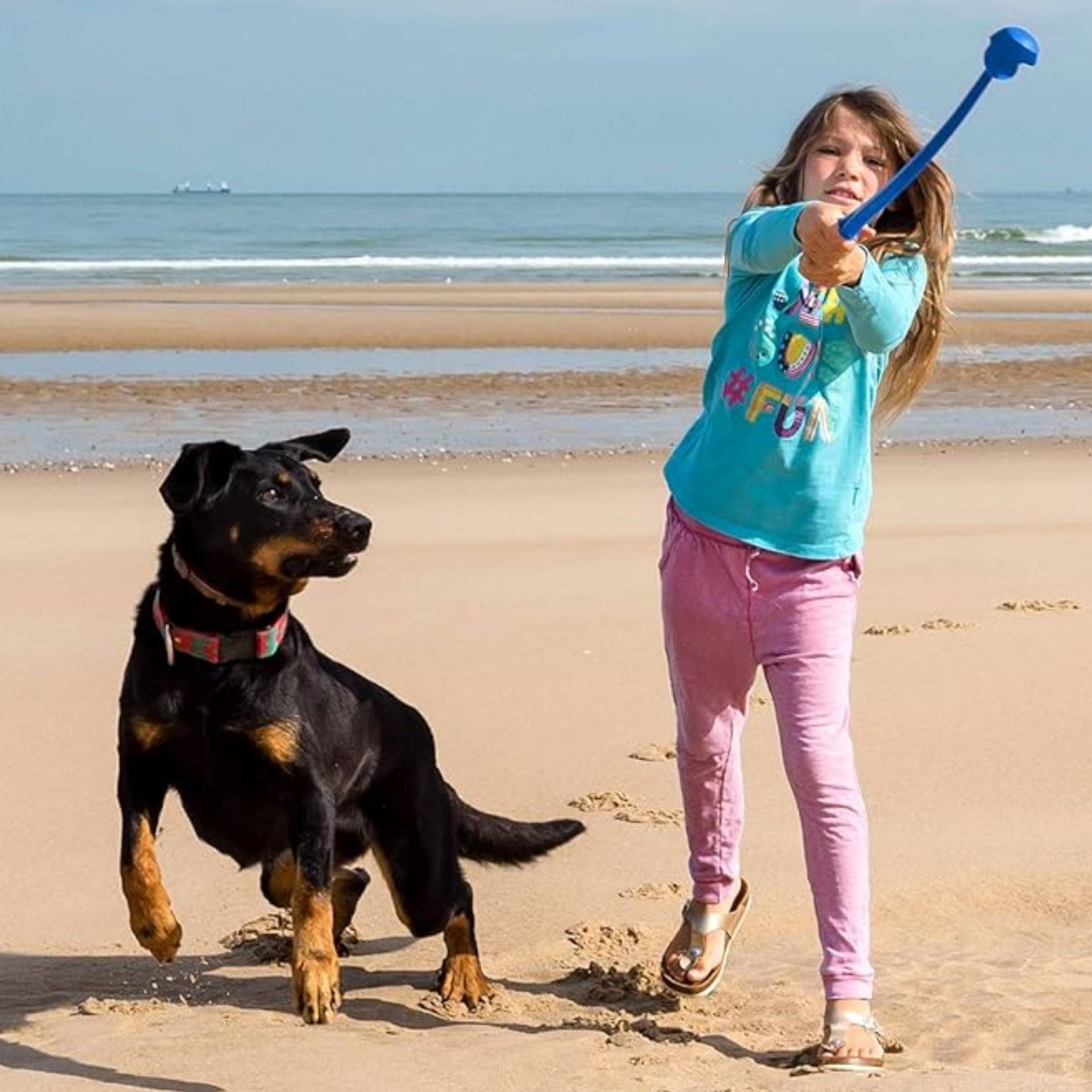 Lanzador de Pelotas para Perros – Juguete Interactivo para Ejercicio y Entrenamiento