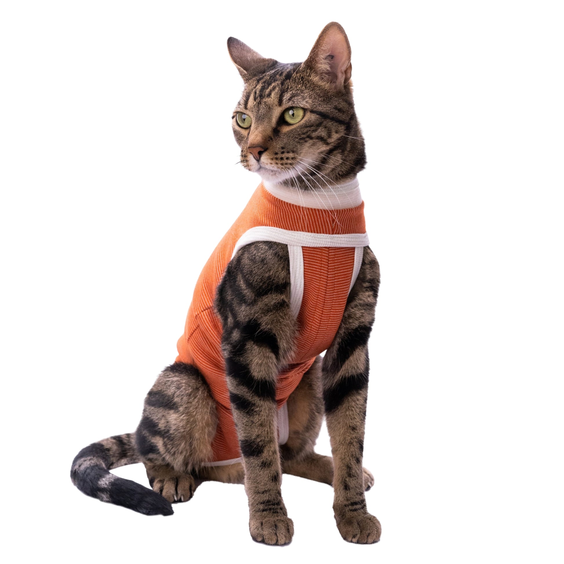 Faja Postquirúrgica para Mascotas – Body Antibacteriano con Cobre y Zinc - Cosmos
