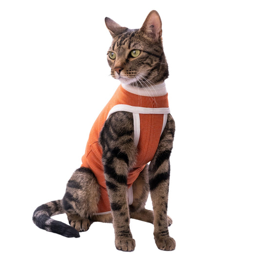 Faja Postquirúrgica para Mascotas – Body Antibacteriano con Cobre y Zinc - Cosmos