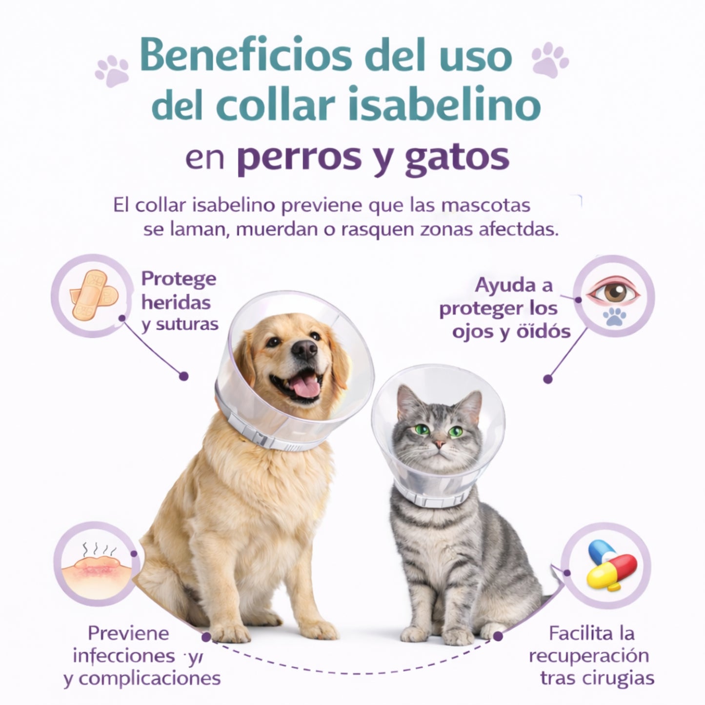 Collar Isabelino Protector para Perros y Gatos | Recuperación Segura - Cosmos