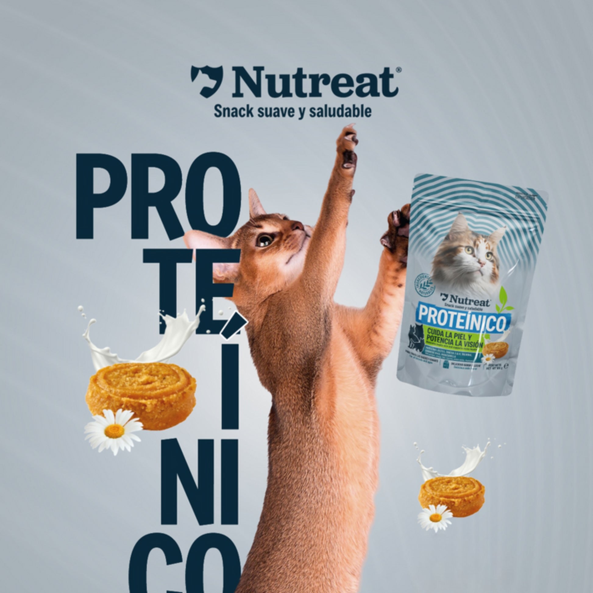 Nutreat Snack Proteínico 2PACK para Gatos – Premio Nutritivo y Funcional - Cosmos