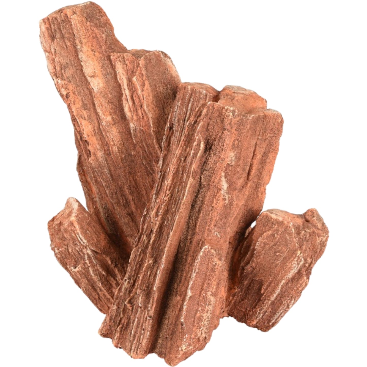 Rocas Red Wood Lines Petrificadas – 1 kg - COSMOS