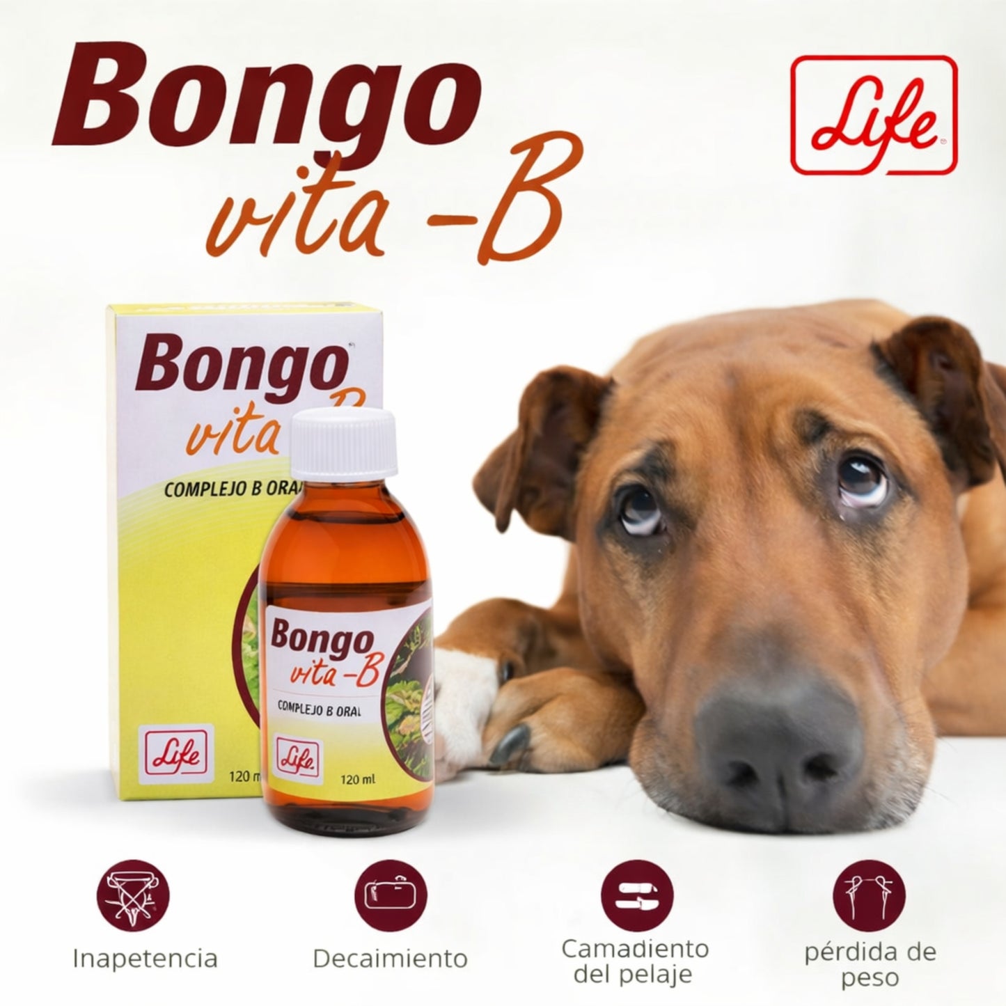 Bongo Vita - B® – Complejo de Vitaminas B para Perros y Gatos - Cosmos