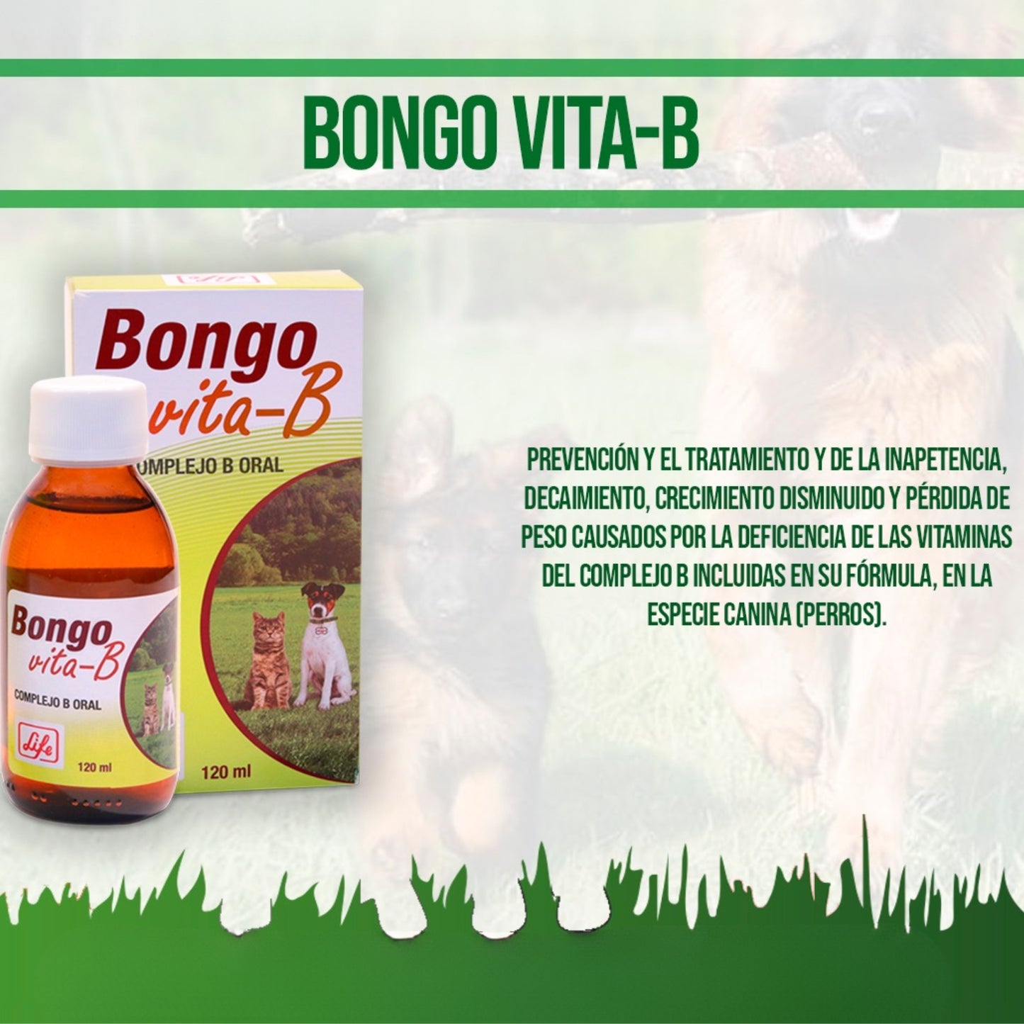 Bongo Vita - B® – Complejo de Vitaminas B para Perros y Gatos - Cosmos