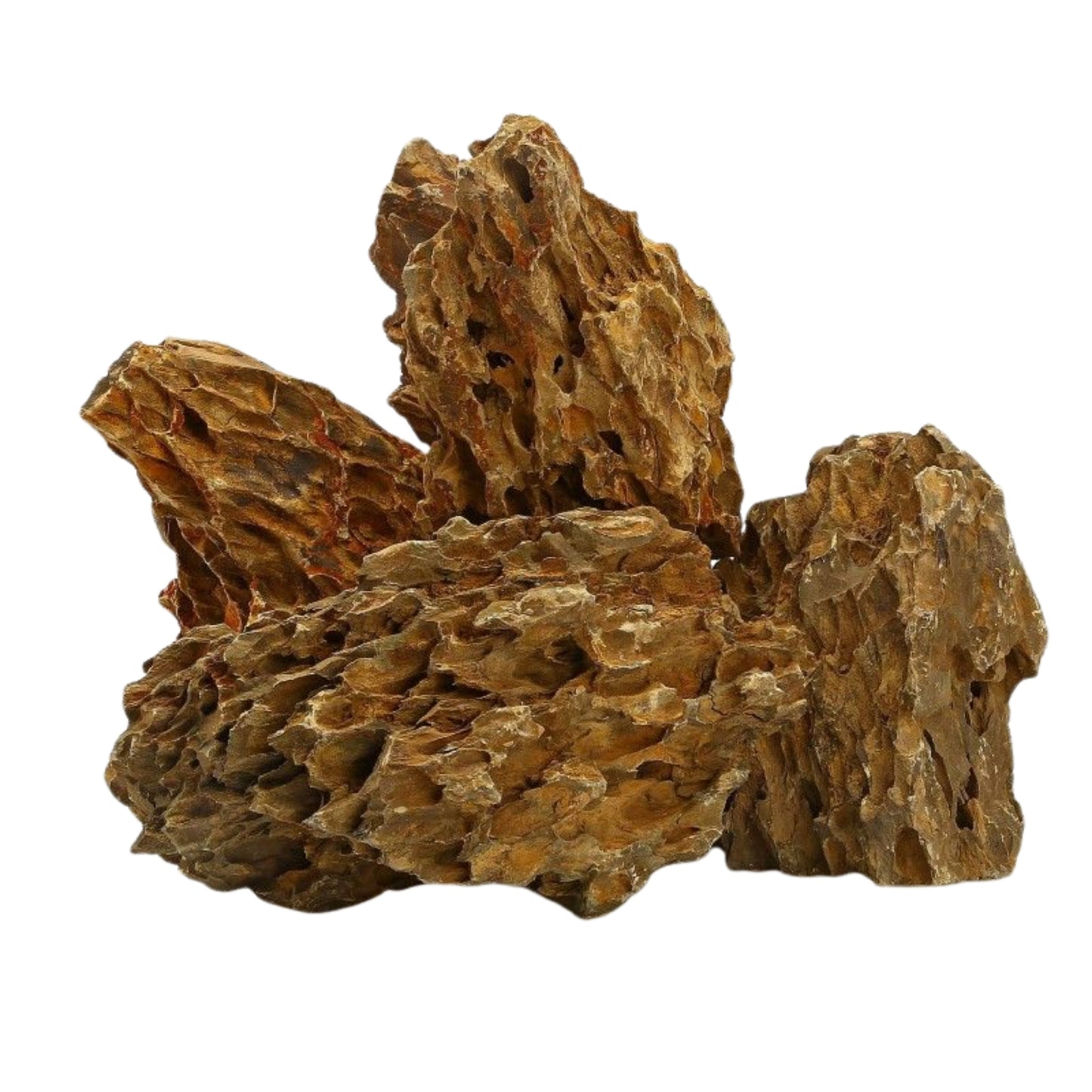 Piedra del Dragón – 1 kg - COSMOS-aquascaping