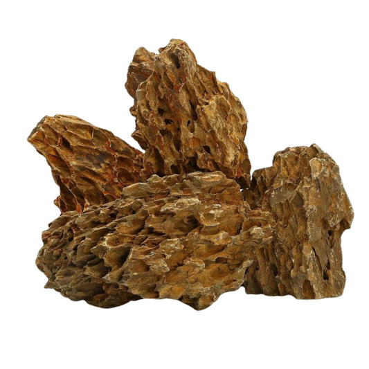 Piedra del Dragón – 1 kg - COSMOS-aquascaping