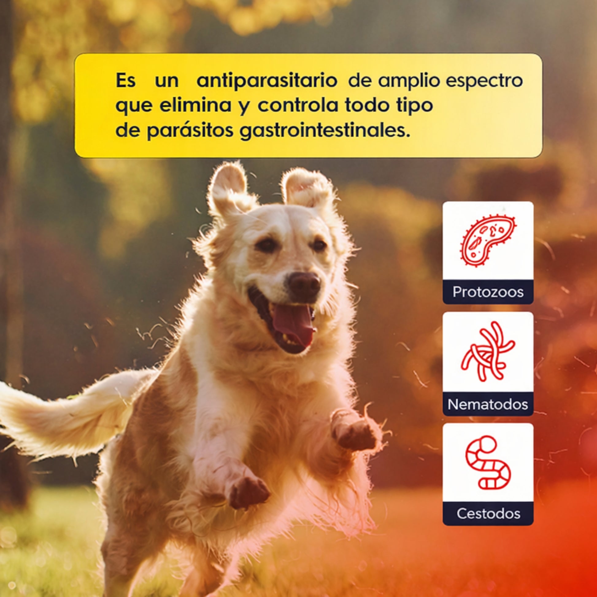 Telopar® Gel – Antiparasitario Interno de Amplio Espectro para Perros y Gatos - Cosmos