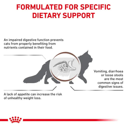 ROYAL CANIN® Gastrointestinal Gato – Dieta veterinaria para apoyo digestivo - COSMOS