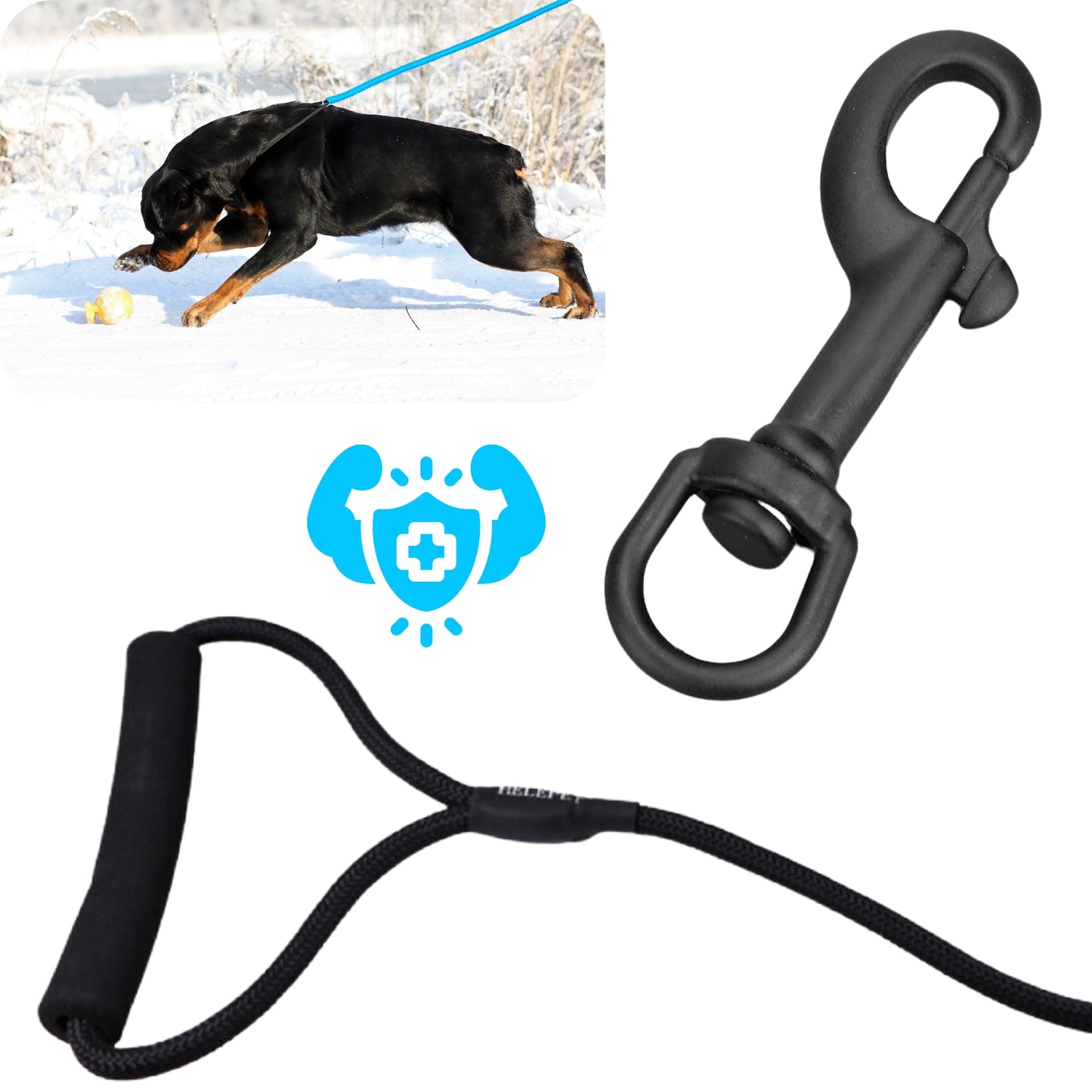 Cordón Ultraresistente para Perros – Seguridad de nivel profesional