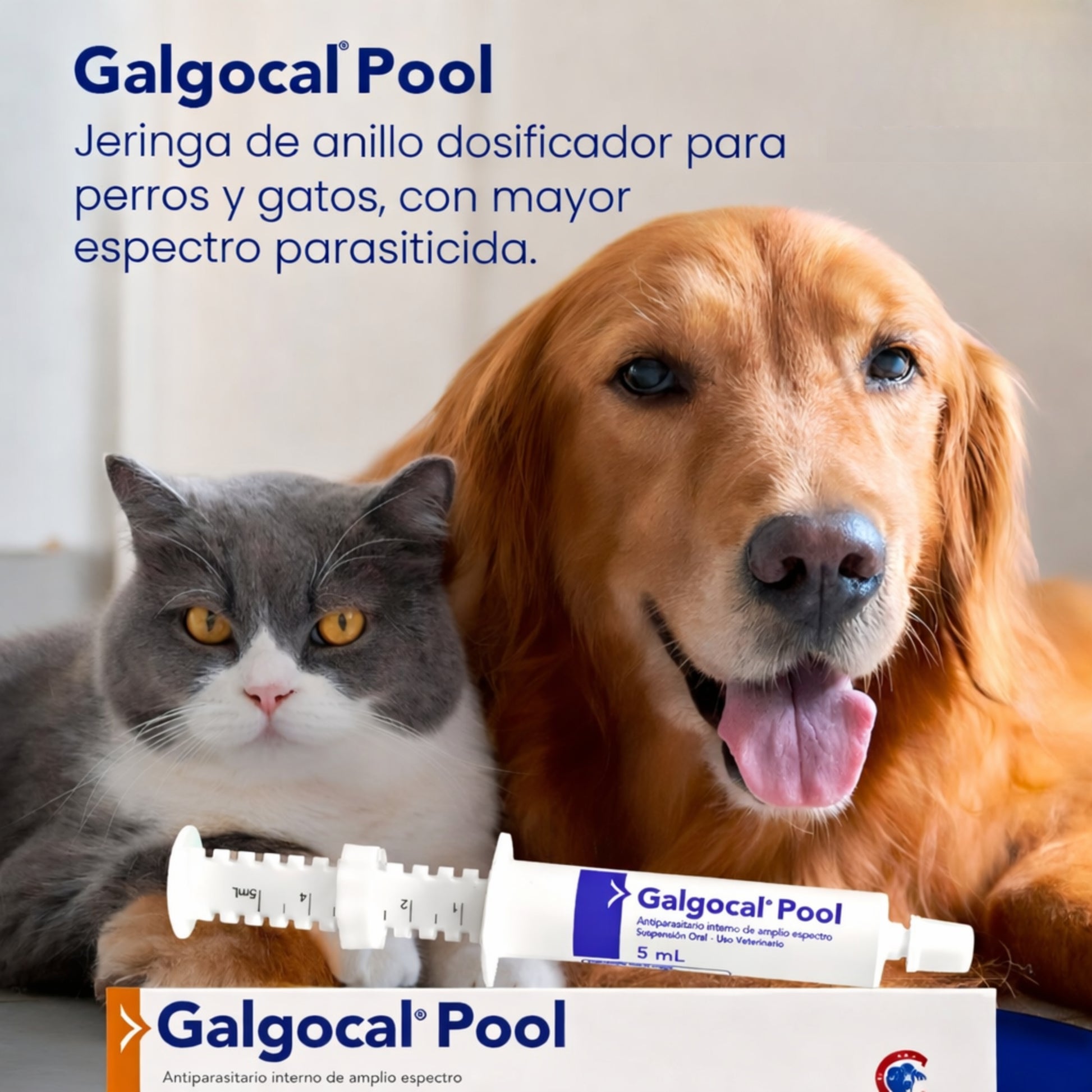 Galgocal Pool Suspensión Oral – Antiparasitario Interno para Perros y Gatos - Cosmos