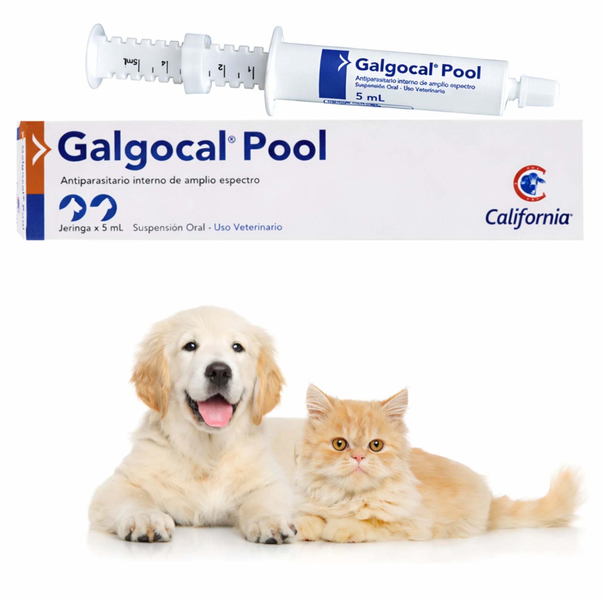 Galgocal Pool Suspensión Oral – Antiparasitario Interno para Perros y Gatos - Cosmos
