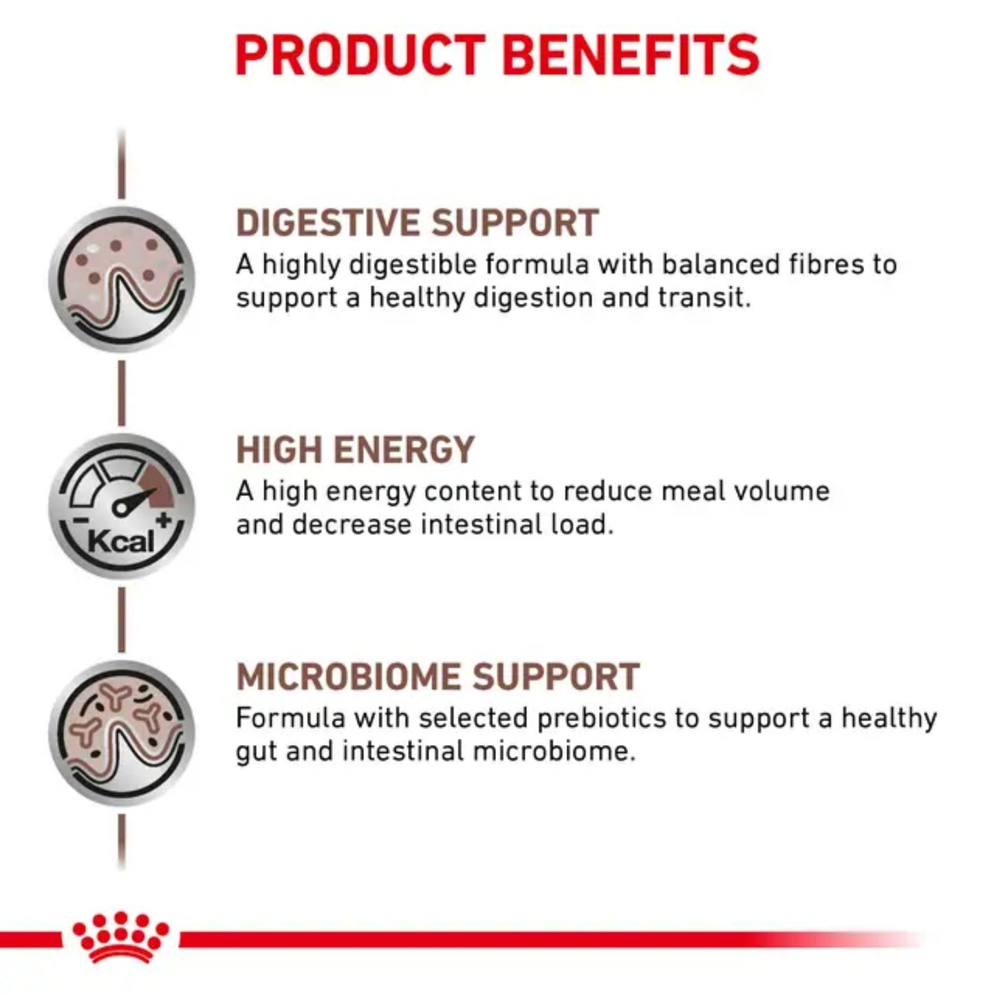 ROYAL CANIN® Gastrointestinal Gato – Dieta veterinaria para apoyo digestivo