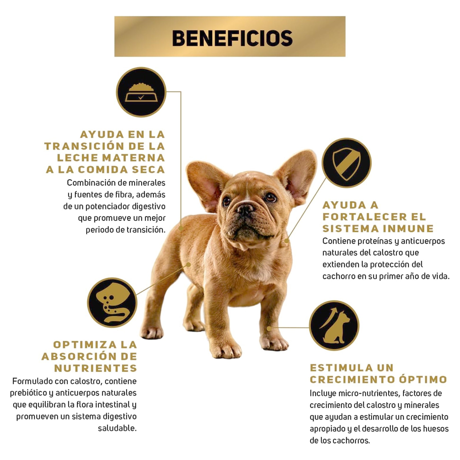 Pro Plan Puppy Razas Pequeñas y Miniaturas 3kg - Cosmos