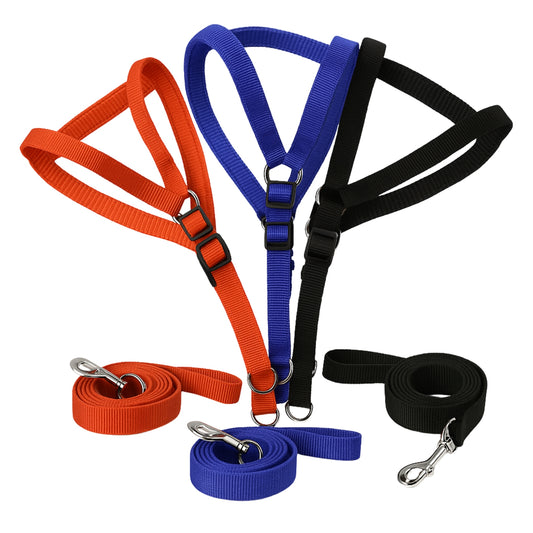 Arnés con Correa – Nylon resistente y diseño ajustable acolchado