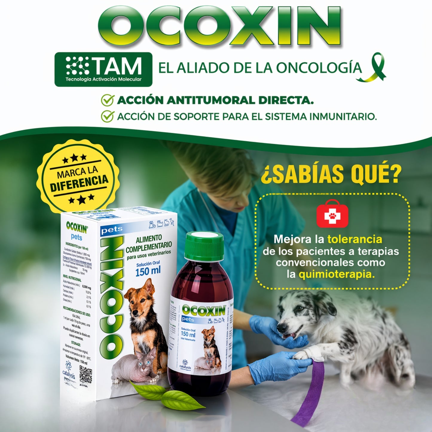 Ocoxin Pets – Suplemento Inmunológico y Antioxidante para Perros y Gatos - Cosmos