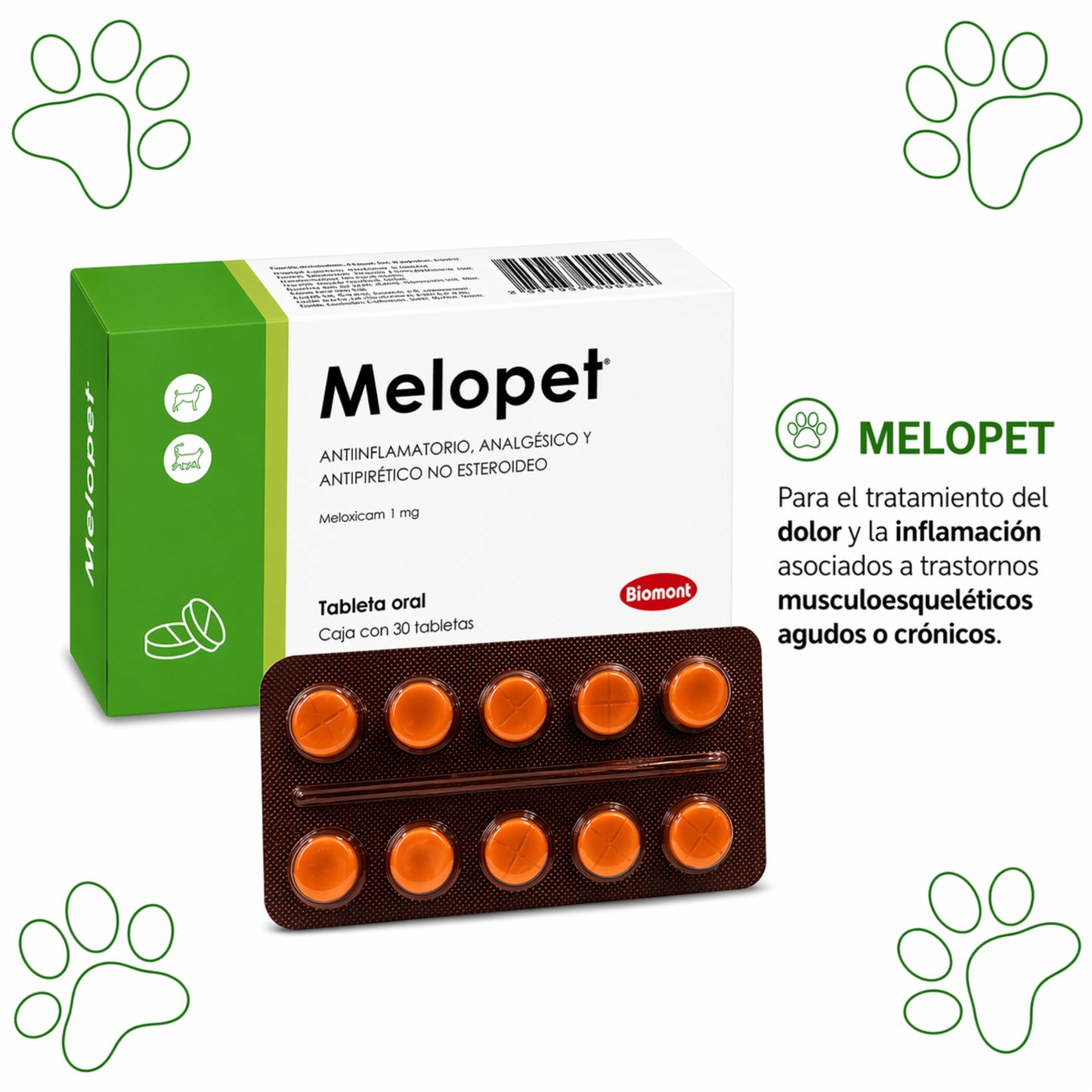 Melopet – Antiinflamatorio, Analgésico y Antipirético para Perros y Gatos - Cosmos