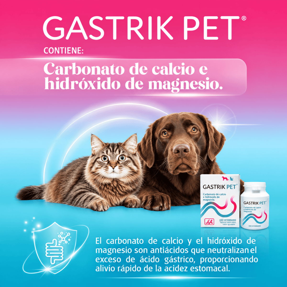 Gastrik Pet Life | Protector de la Mucosa Gástrica para Perros y Gatos - Cosmos