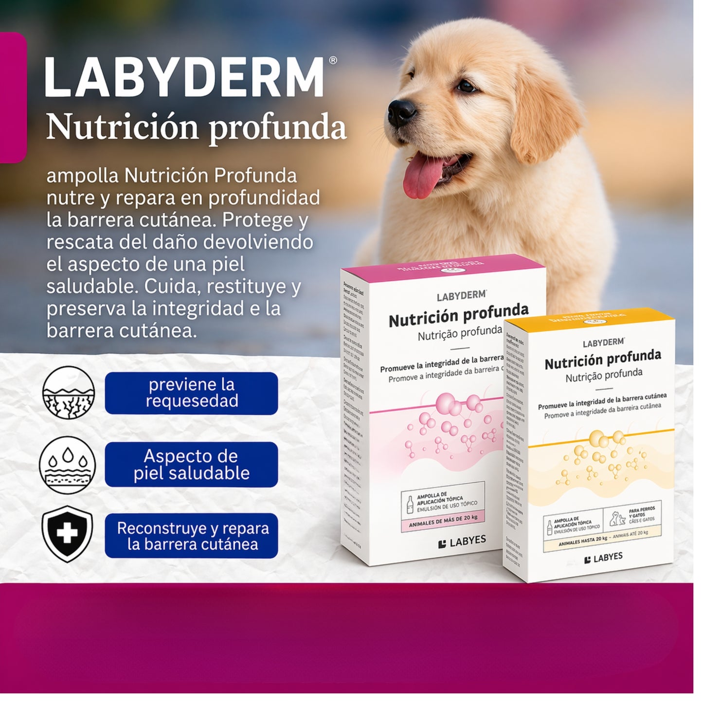 LabyDerm Nutrición Profunda – Ampolla Dermatológica Reparadora para Perros y Gatos - Cosmos