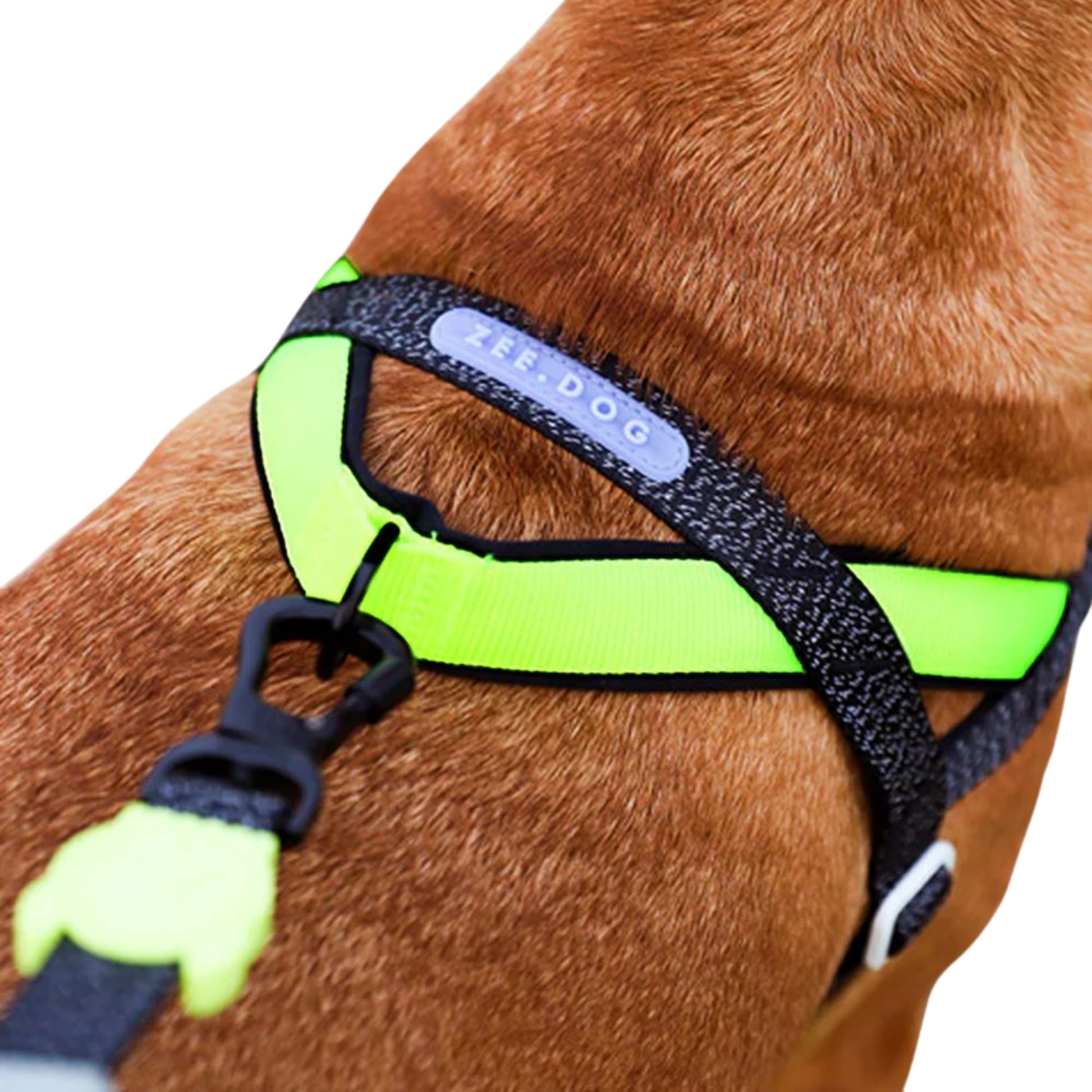 Zee.Dog Nox Softerwalk Harness - Arnés Ergonómico Refelectivo Anti - Tirones - Cosmos