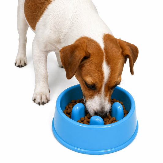 Plato Anti Ansiedad S para Perros - Slow Feeder - Cosmos