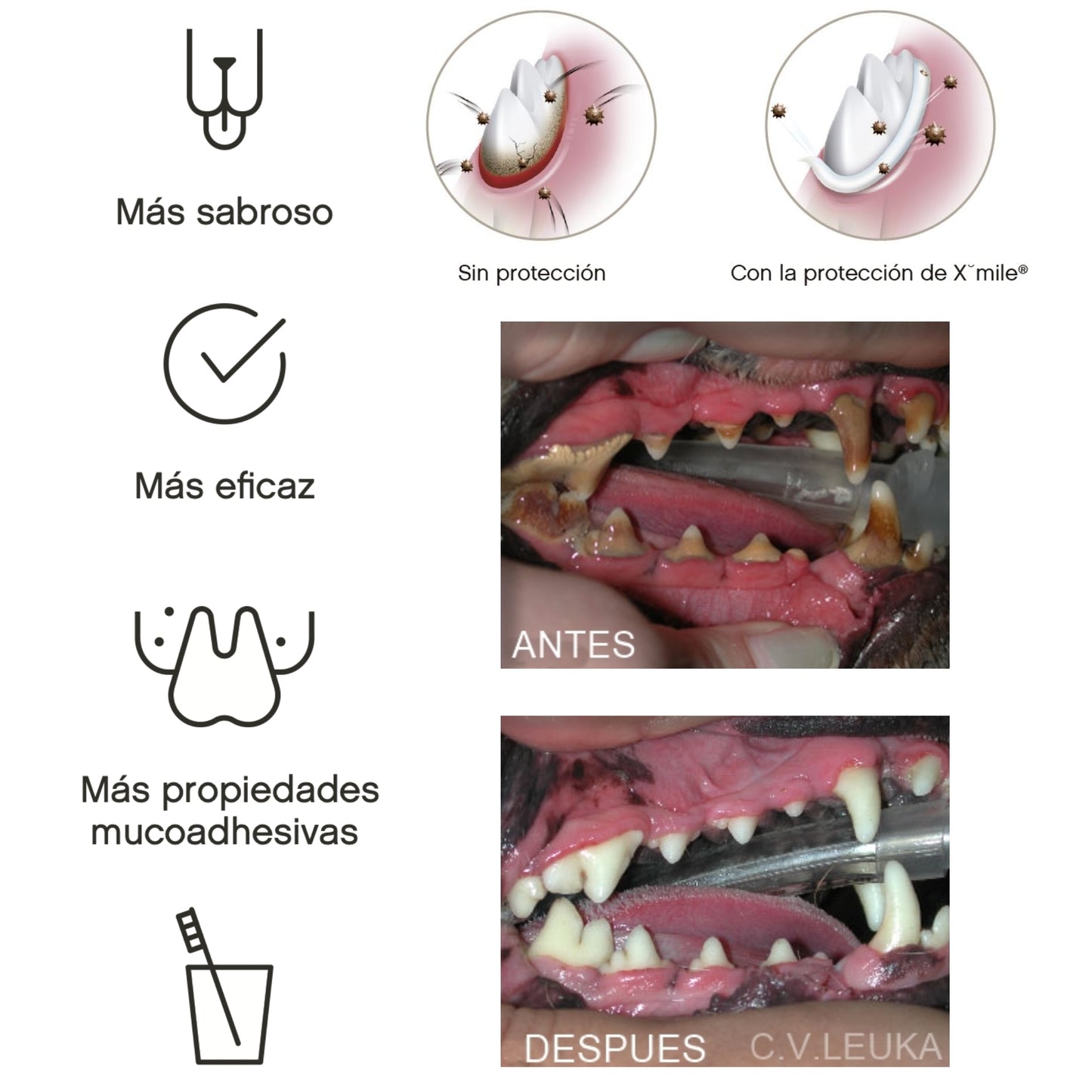 Xmile Plus – Gel Dentífrico Enzimático para Perros y Gatos