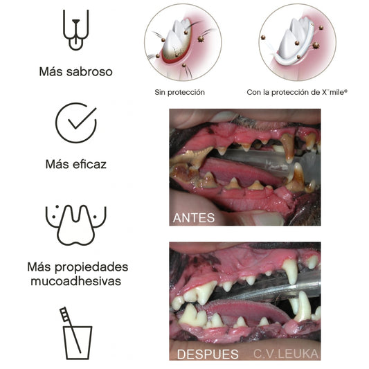 Xmile Plus – Gel Dentífrico Enzimático para Perros y Gatos - COSMOS