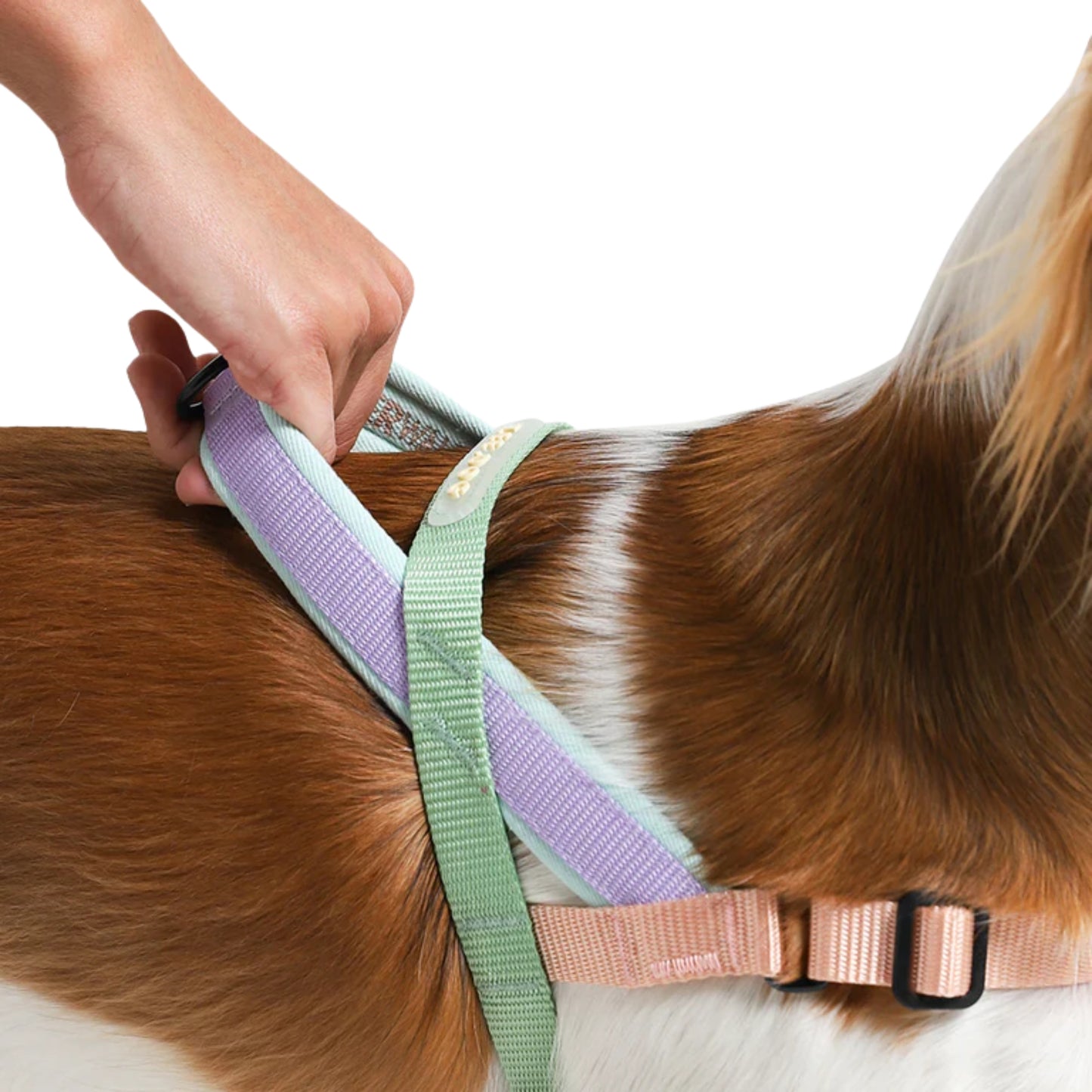 Zee.Dog Peach Softer Walk Harness – Arnés Ajustable Anti - Tirones - Cosmos