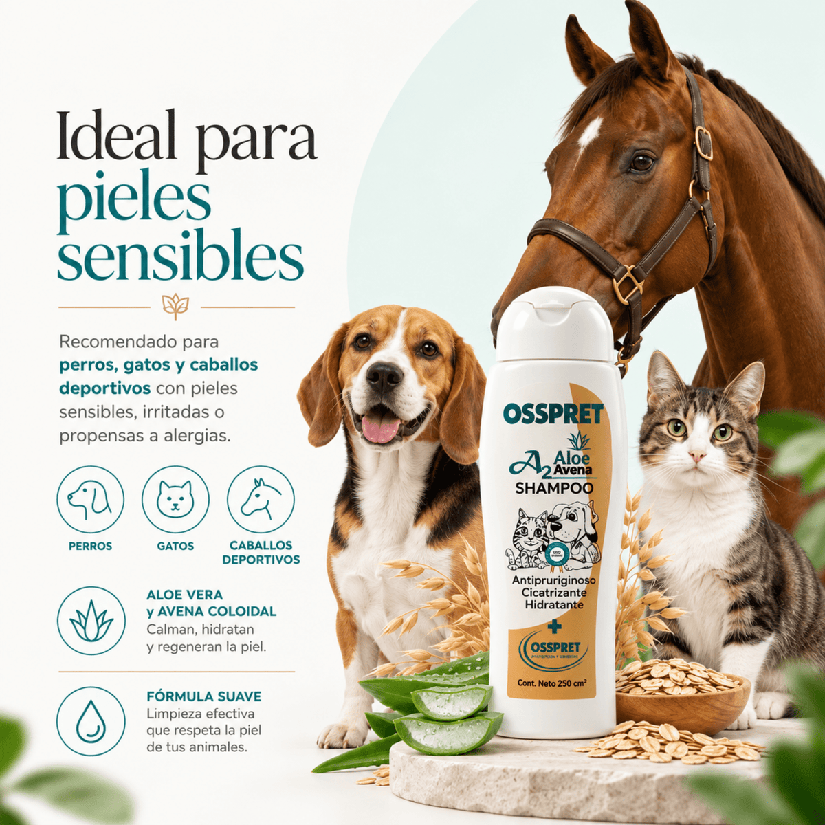 OSSPRET A2 Aloe Vera y Avena Shampoo 250 ml | Pieles Sensibles - Cosmos