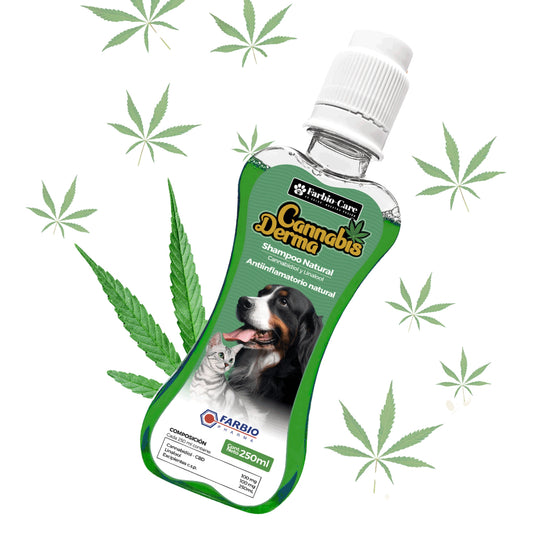 Cannabis Derma – Shampoo Natural para Perros y Gatos (250 ml)