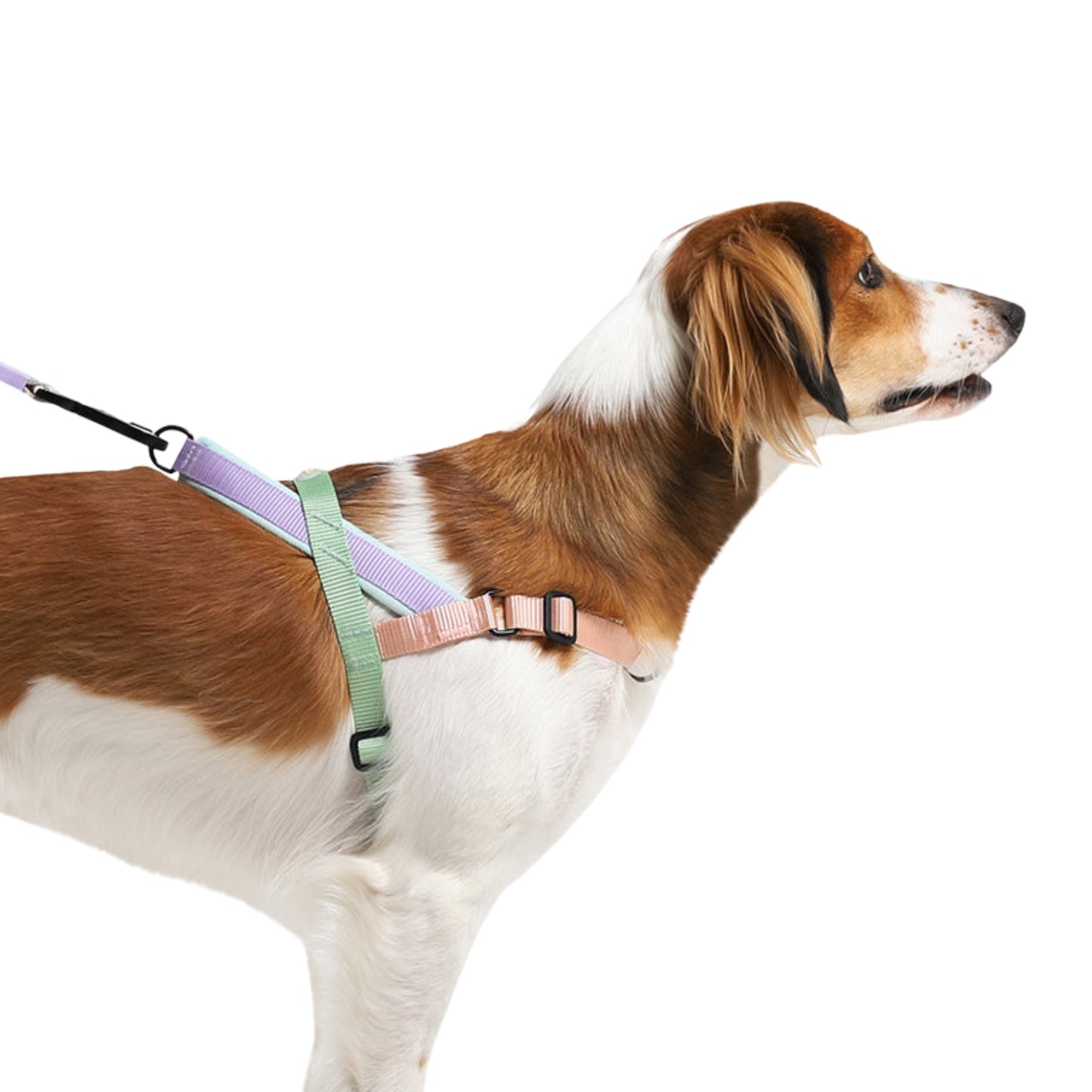 Zee.Dog Peach Softer Walk Harness – Arnés Ajustable Anti - Tirones - Cosmos