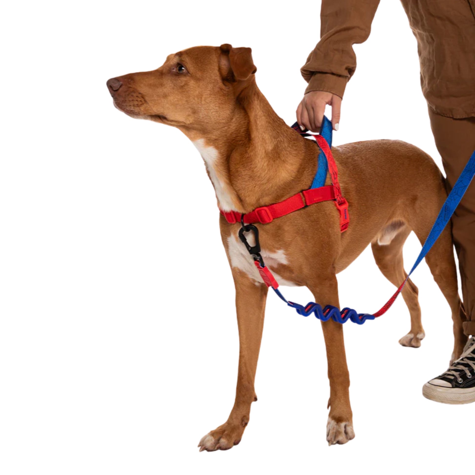 Zee.Dog Marvel Spider - Man SofterWalk – Arnés Ajustable Anti - Tirones - Cosmos