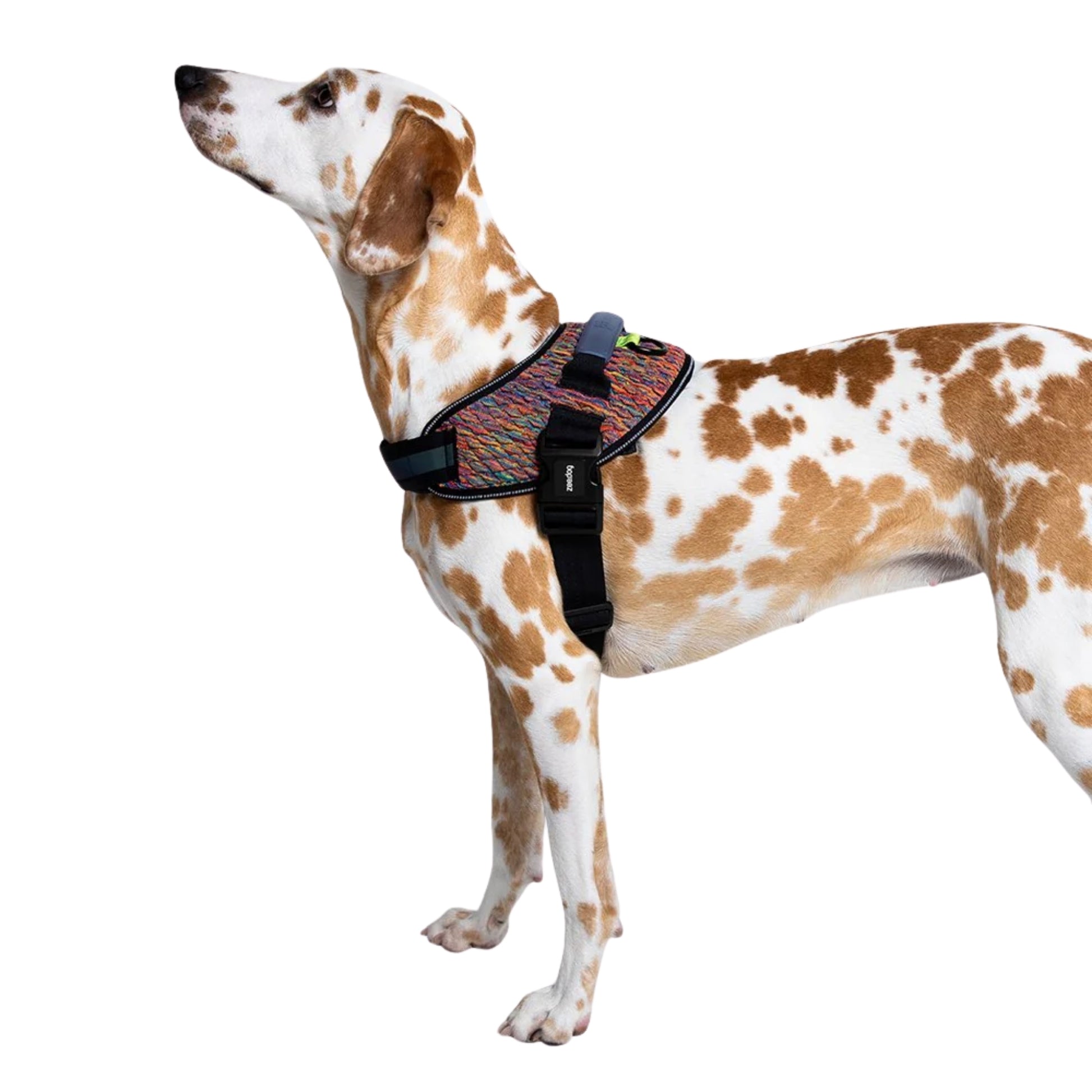 Pechera ZeeDog Vortex FlyHarness – Ajustable y Ergonómica - Cosmos