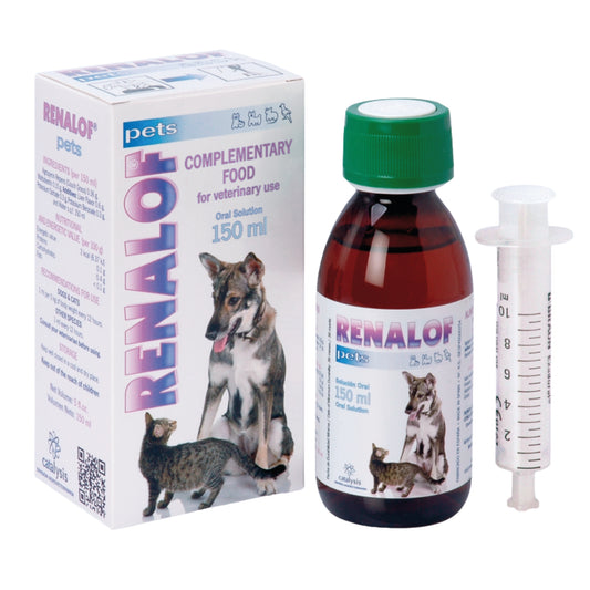 Renalof Pets – Soporte renal natural para perros y gatos