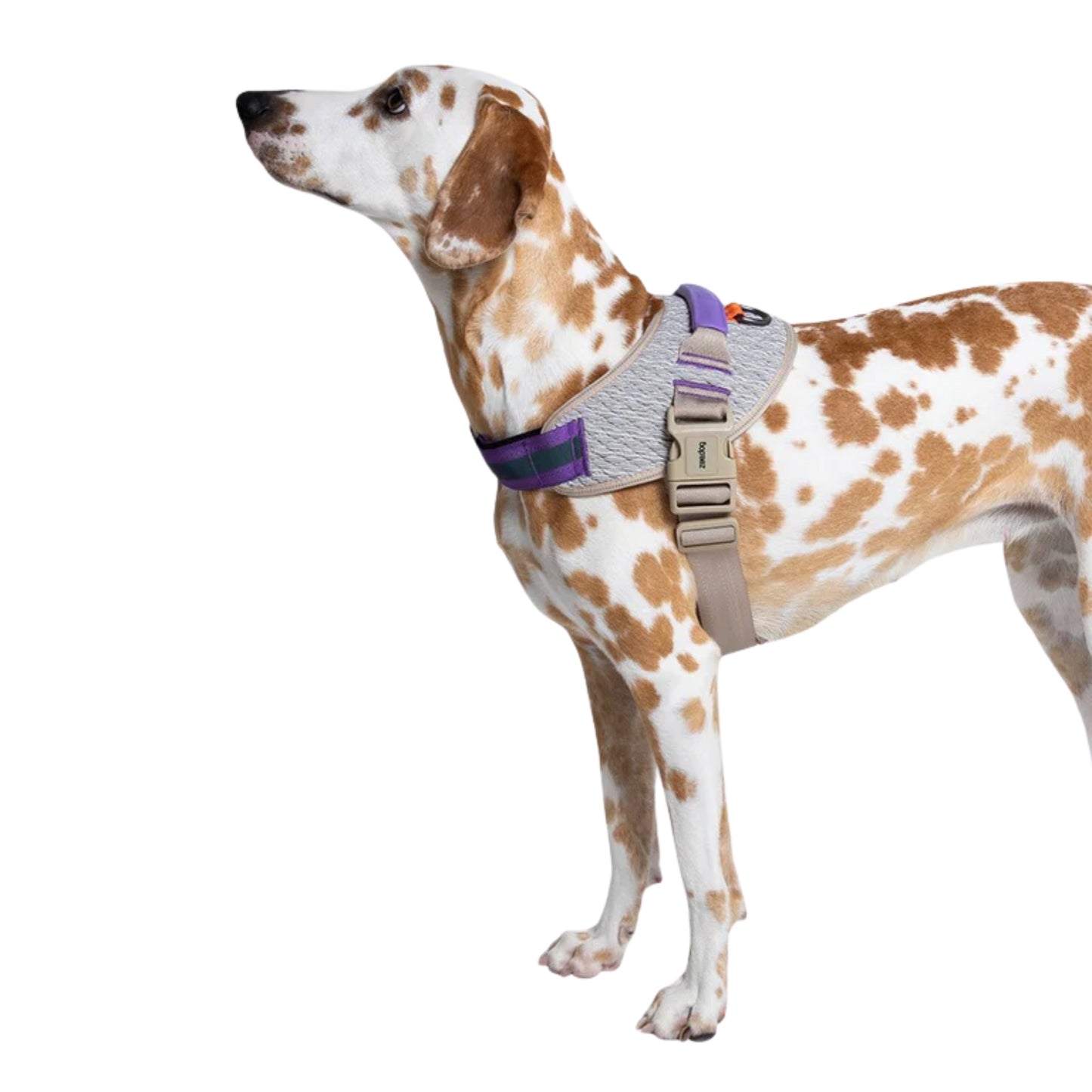 Pechera ZeeDog ACG FlyHarness – Ajustable y Ergonómica - Cosmos
