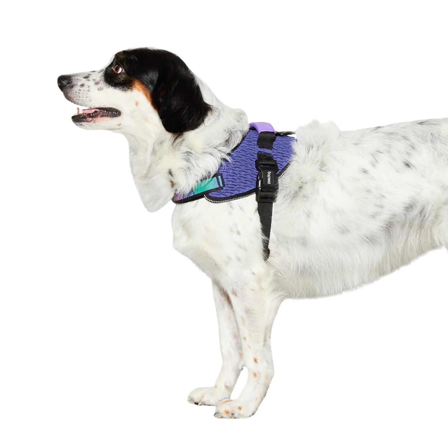 Pechera ZeeDog Wicked FlyHarness – Ajustable y Ergonómica - Cosmos