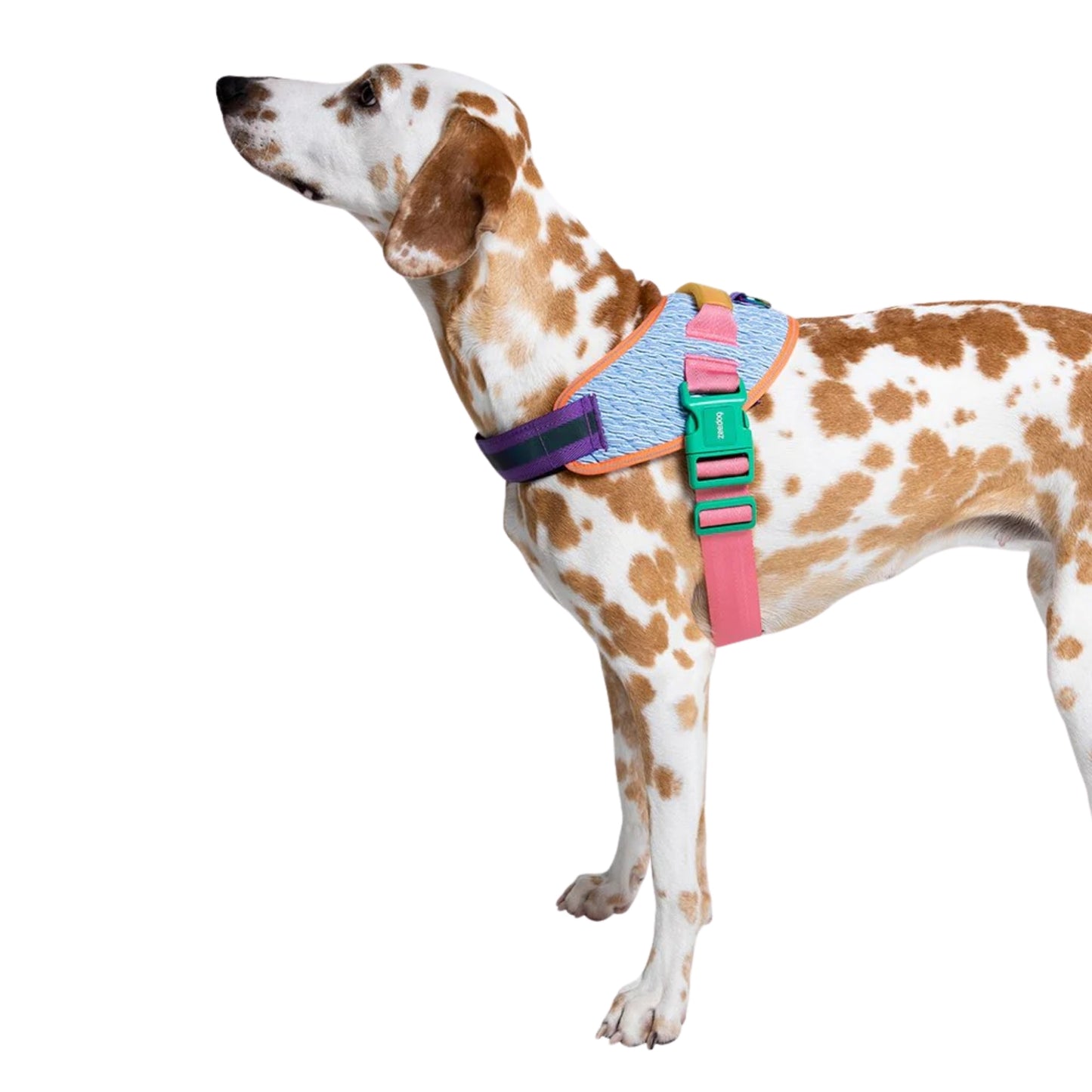 Pechera ZeeDog Galaxy FlyHarness – Ajustable y Ergonómica - Cosmos