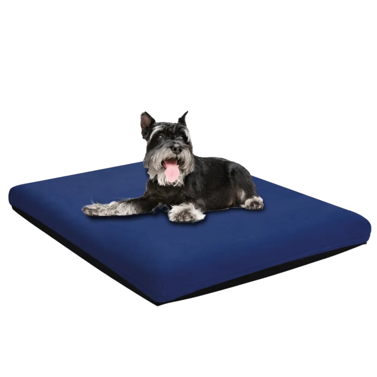 Colchón para Mascotas CHAIDE – Sueño Cómodo, Fresco y Saludable